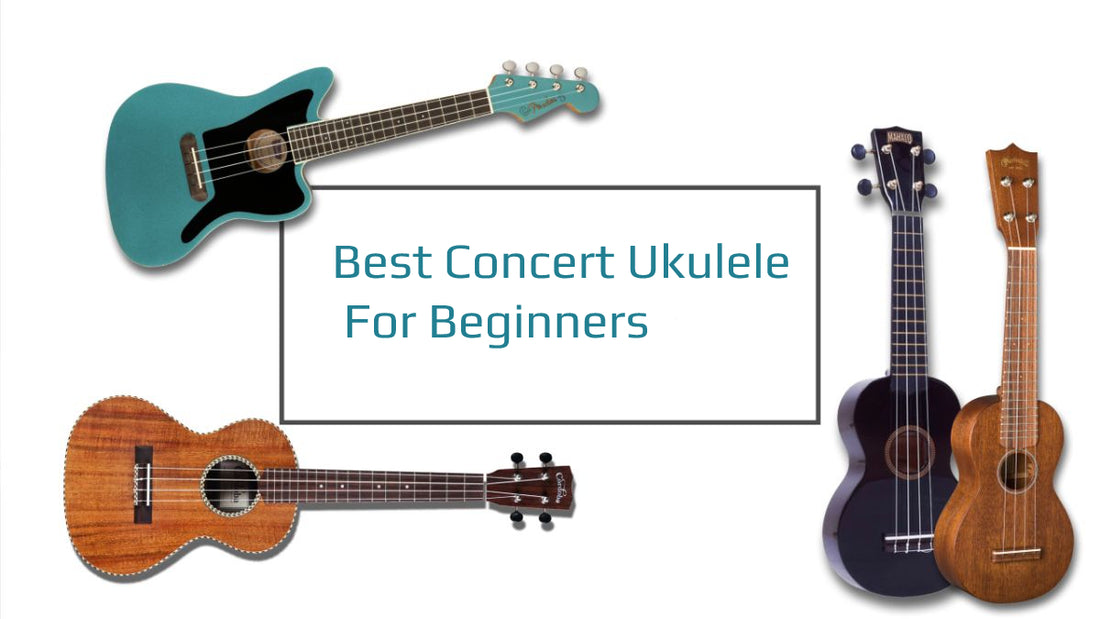 Best Concert Ukulele For Beginners