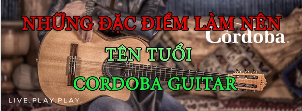 Đàn Guitar Cordoba