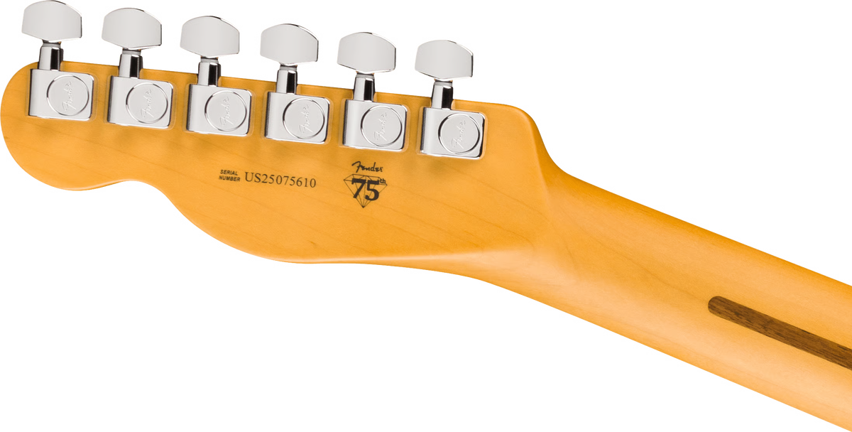 Đàn Guitar Điện Fender American Professional Telecaster SS, Rosewood Fingerboard - Việt Music