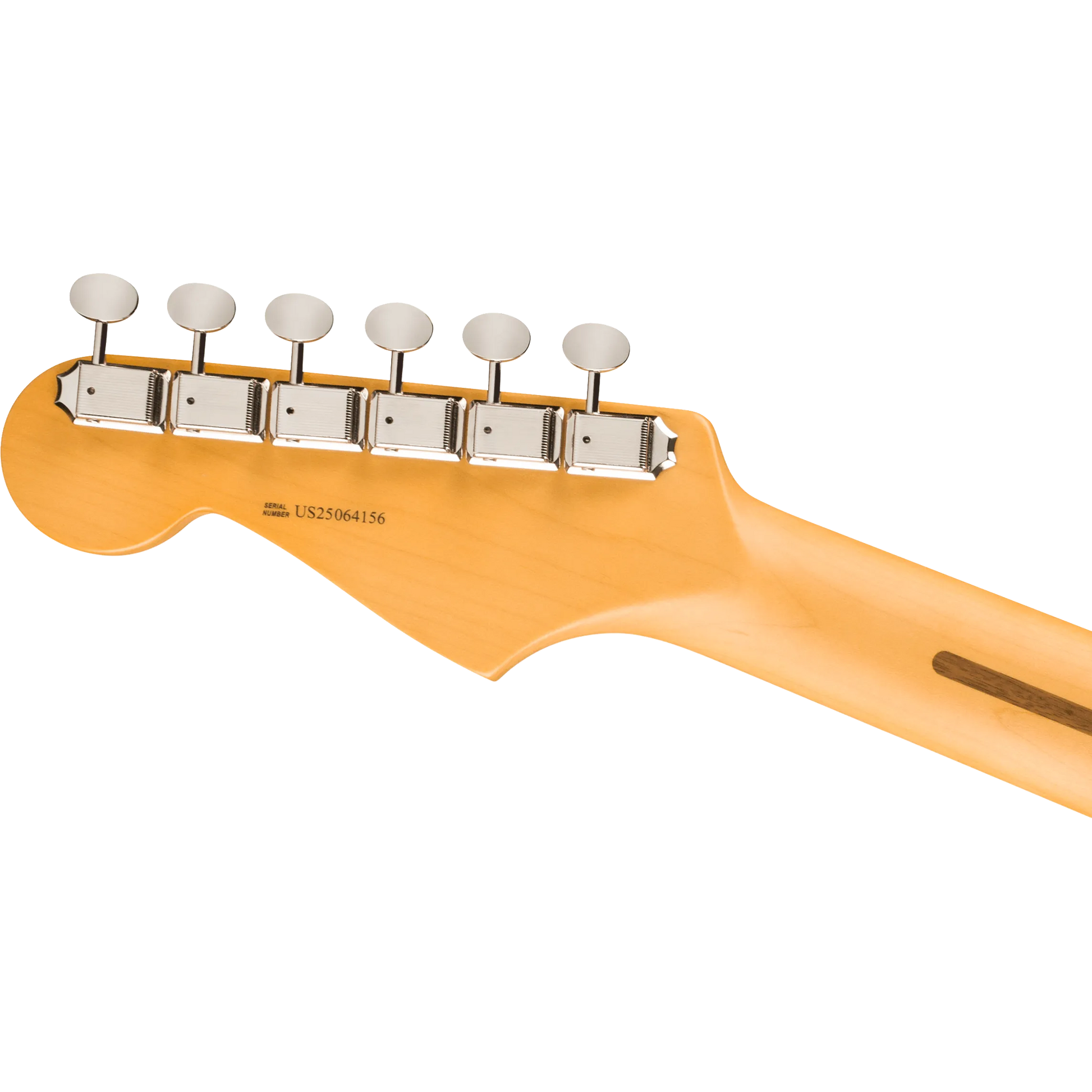 Đàn Guitar Điện American Professional Classic Stratocaster HSS, Maple Fingerboard. - Việt Music