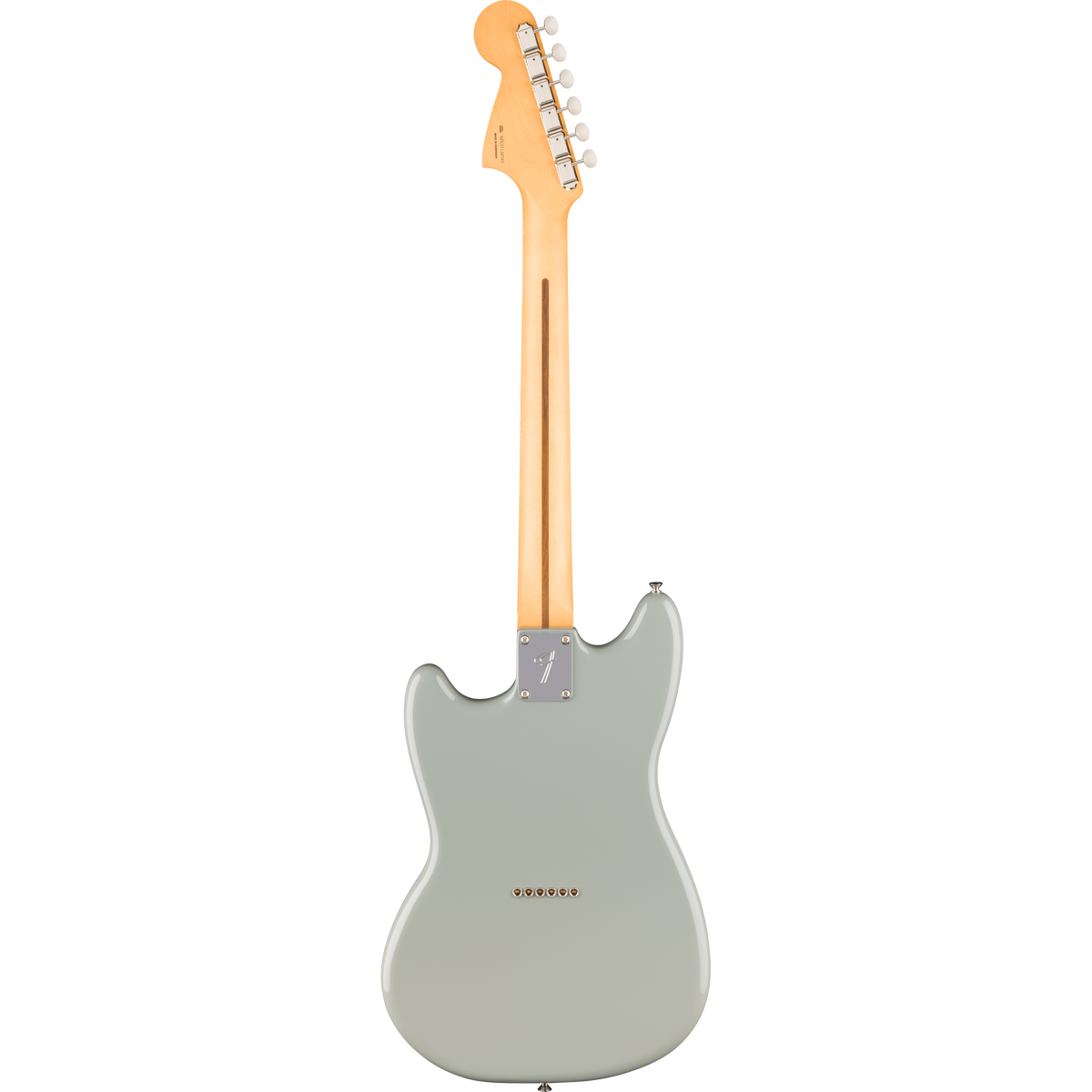 Cactus Gray - mặt sau dọc