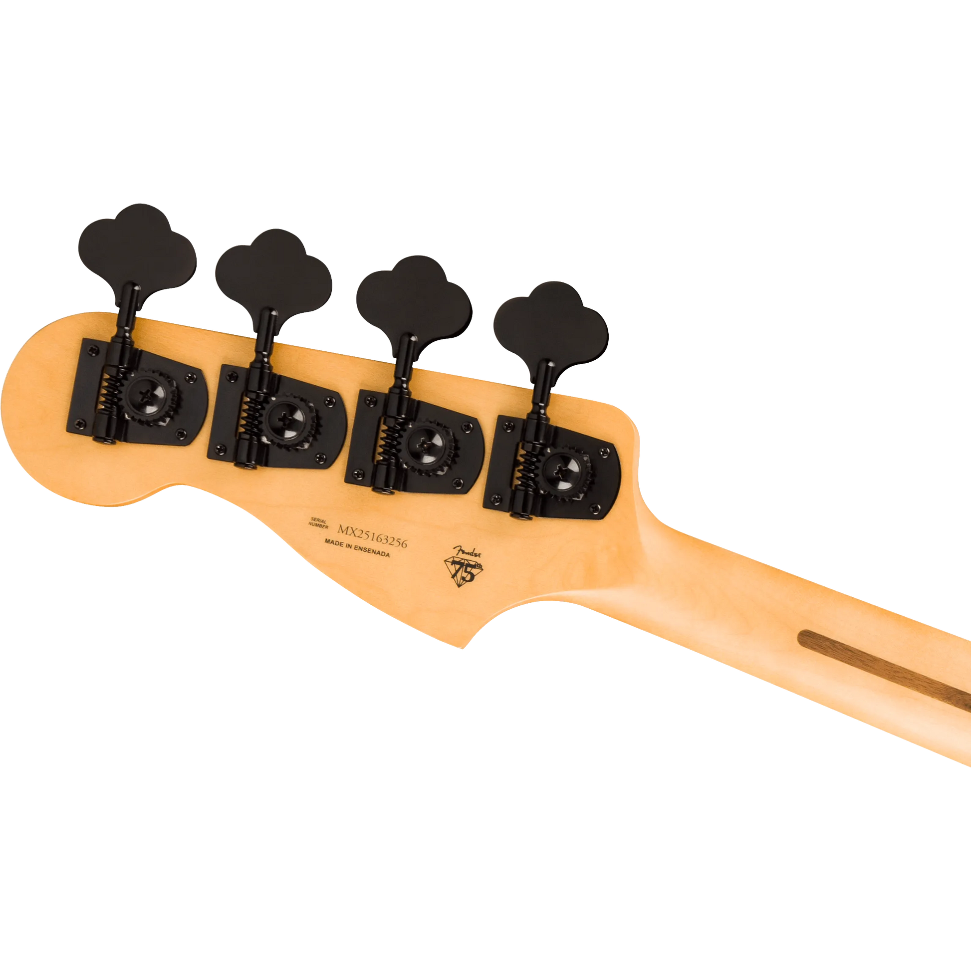 Đàn Guitar Bass Fender Limited Edition Player Fusion Precision Bass HH, Ebony Fingerboard - 4 Strings - Việt Music