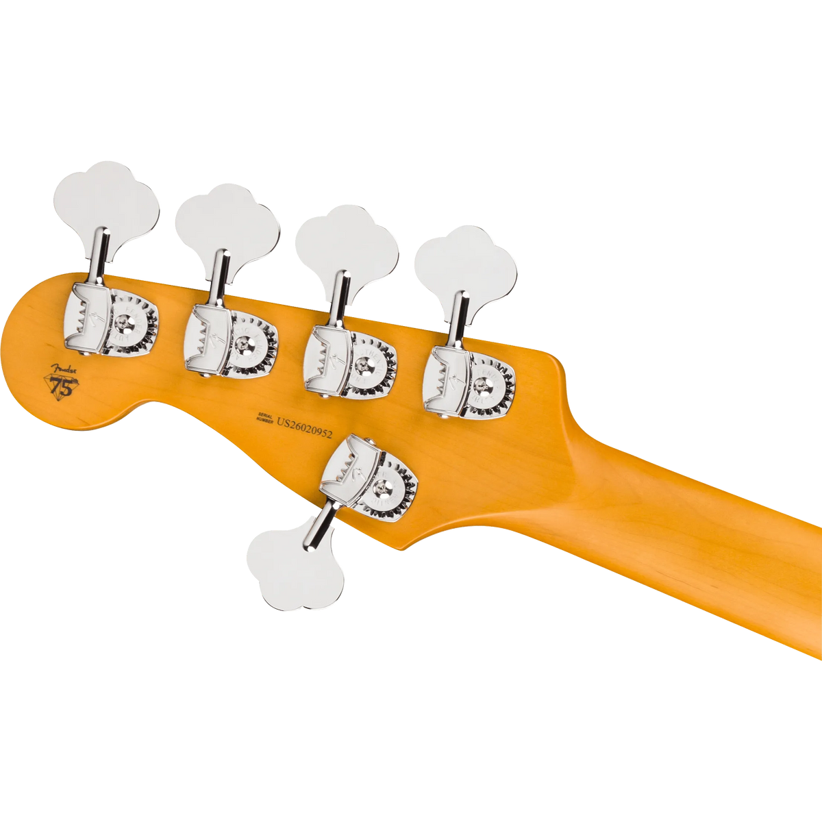 Đàn Guitar Bass Fender American Professional Precision Bass V S, Rosewood Fingerboard - 5 Strings - Việt Music