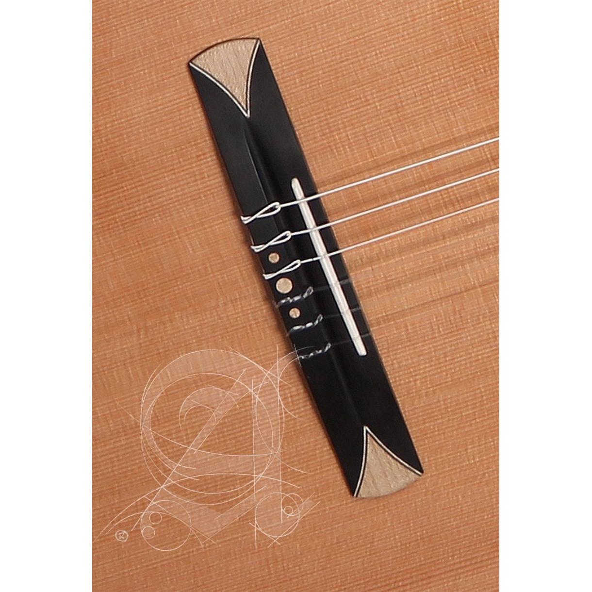 Đàn Guitar Classic Alhambra Crossover CS-3 CW E8 Cedar - Việt Music