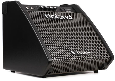 Hệ thống âm thanh chất lượng Roland PM100