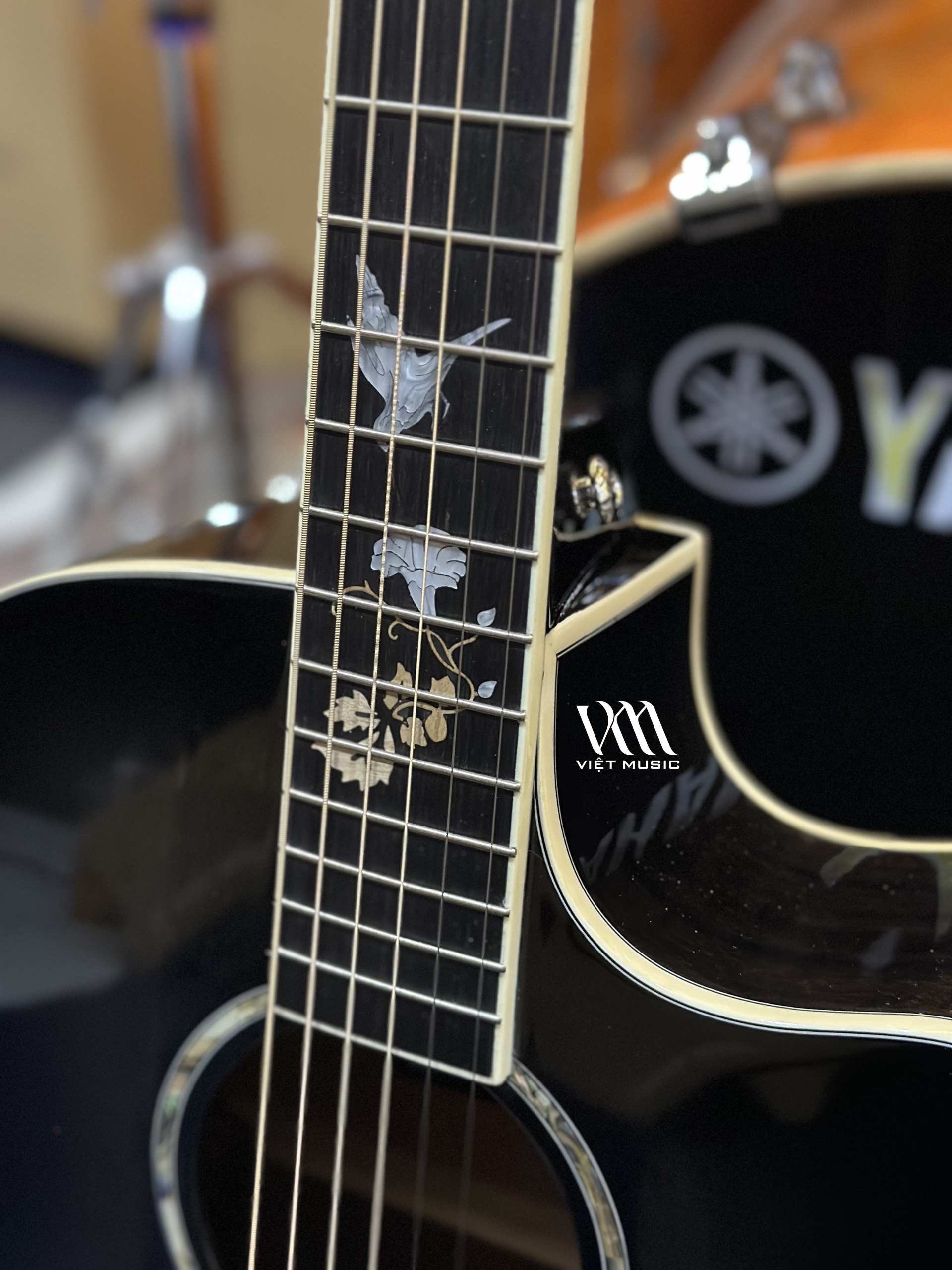 Đàn Guitar Acoustic Murcia AS-20CE - Việt Music