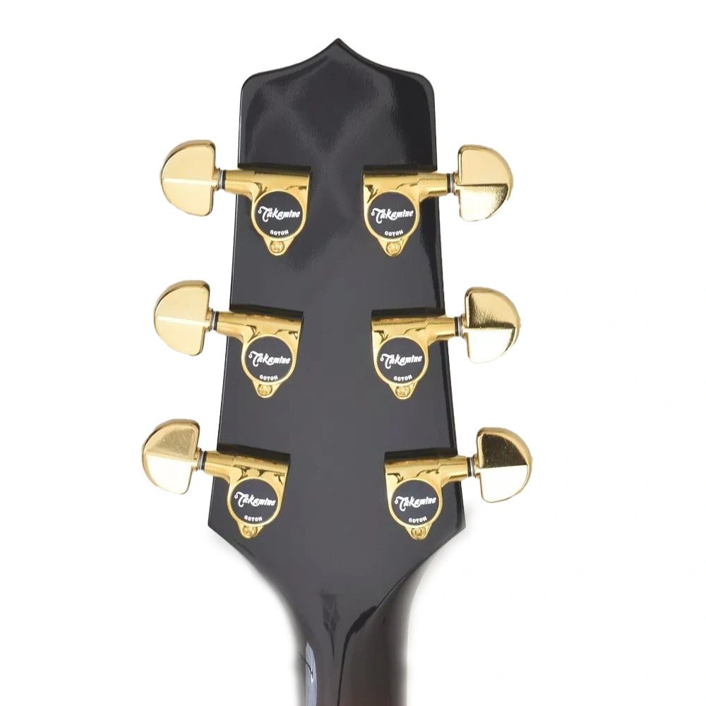 Đàn Guitar Acoustic Takamine EF250TK - Việt Music