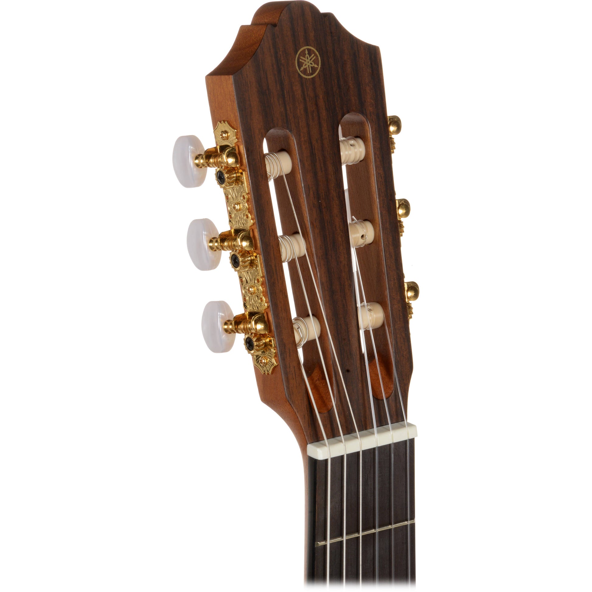 Đàn Guitar Classic Yamaha CG172SF - CG / CGX Series - Việt Music