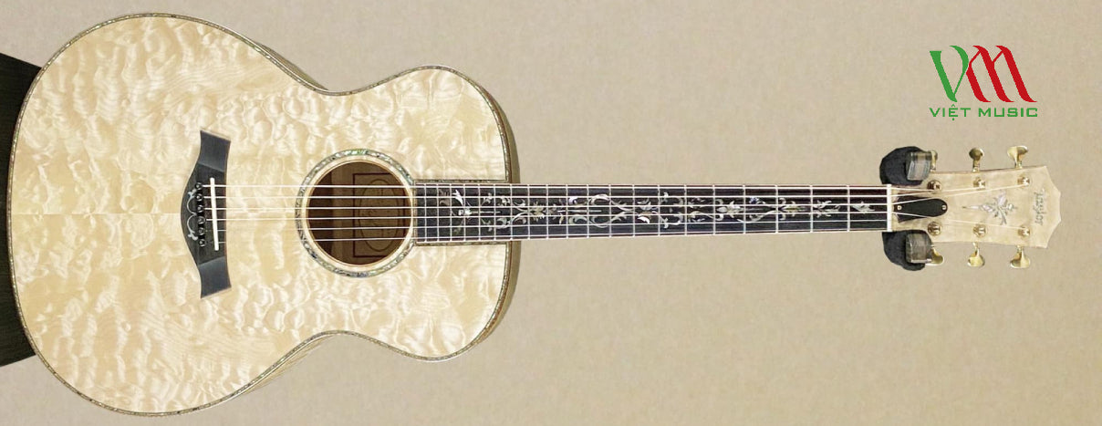 Bộ Sưu Tập Những Cây Đàn Guitar Quý Hiếm Đã Qua Sử Dụng