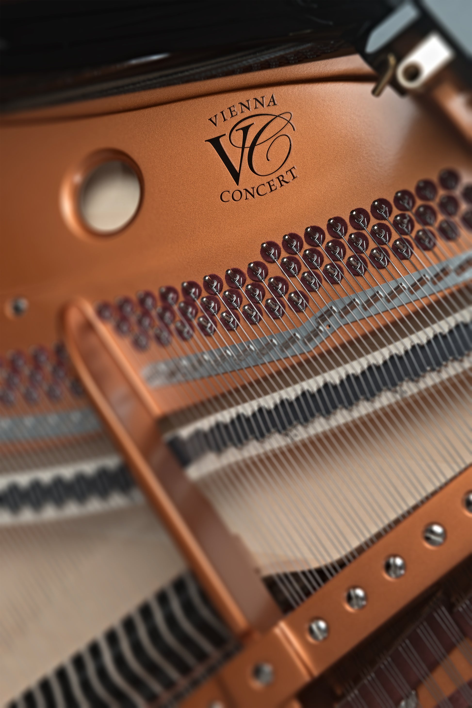 Grand Piano Bösendorfer 170VC - Việt Music