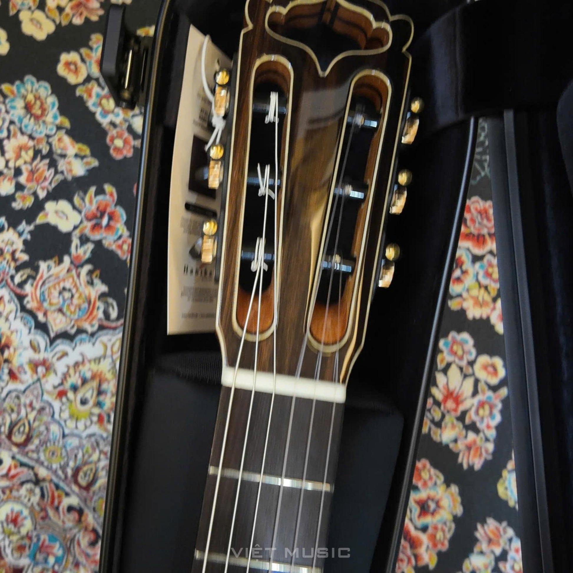 Đàn Guitar Classic Hanika Fusion PC Cedar - Việt Music