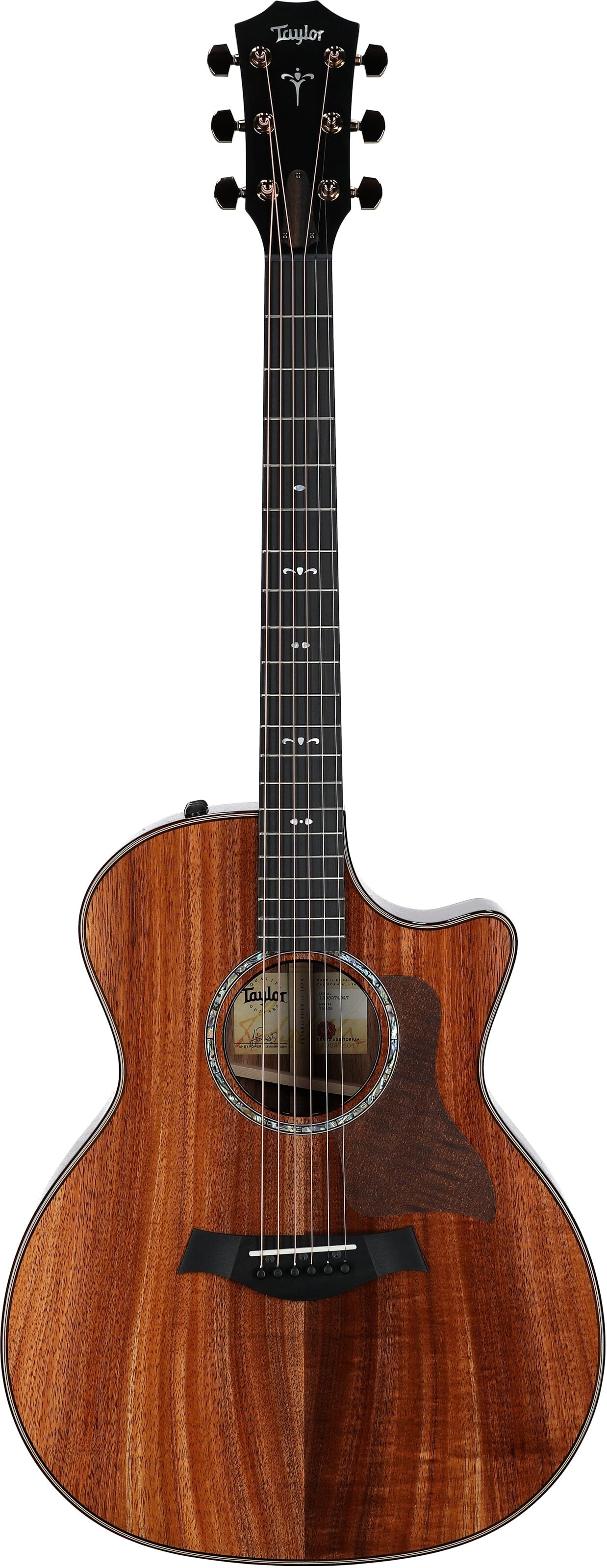 Đàn Guitar Acoustic Taylor 724CE - Việt Music