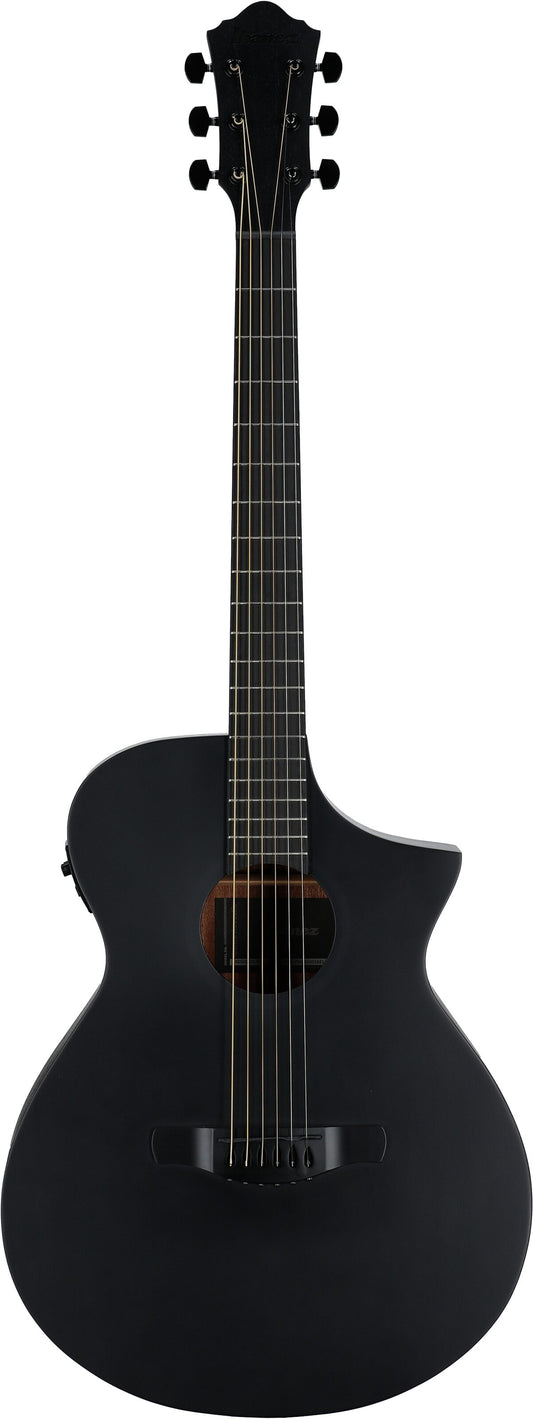 Đàn Guitar Acoustic Ibanez AEWC621