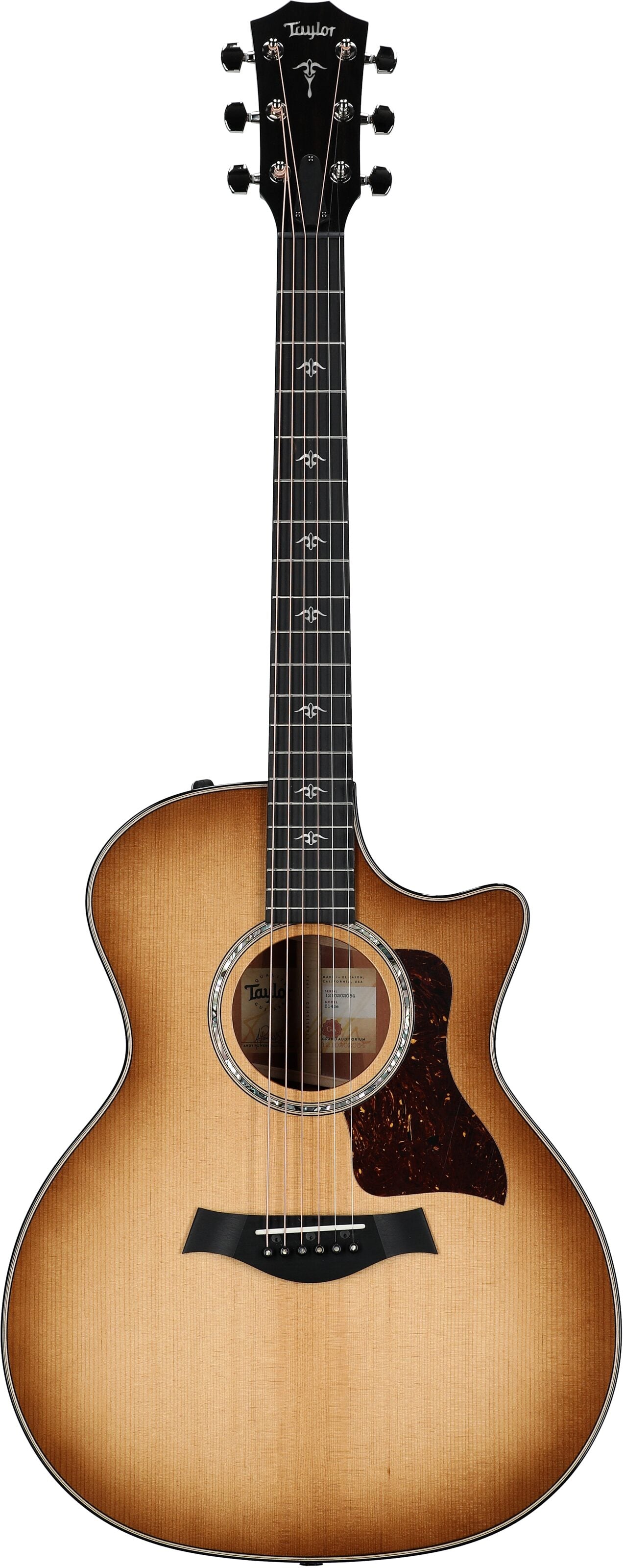 Đàn Guitar Acoustic Taylor 514CE - Việt Music