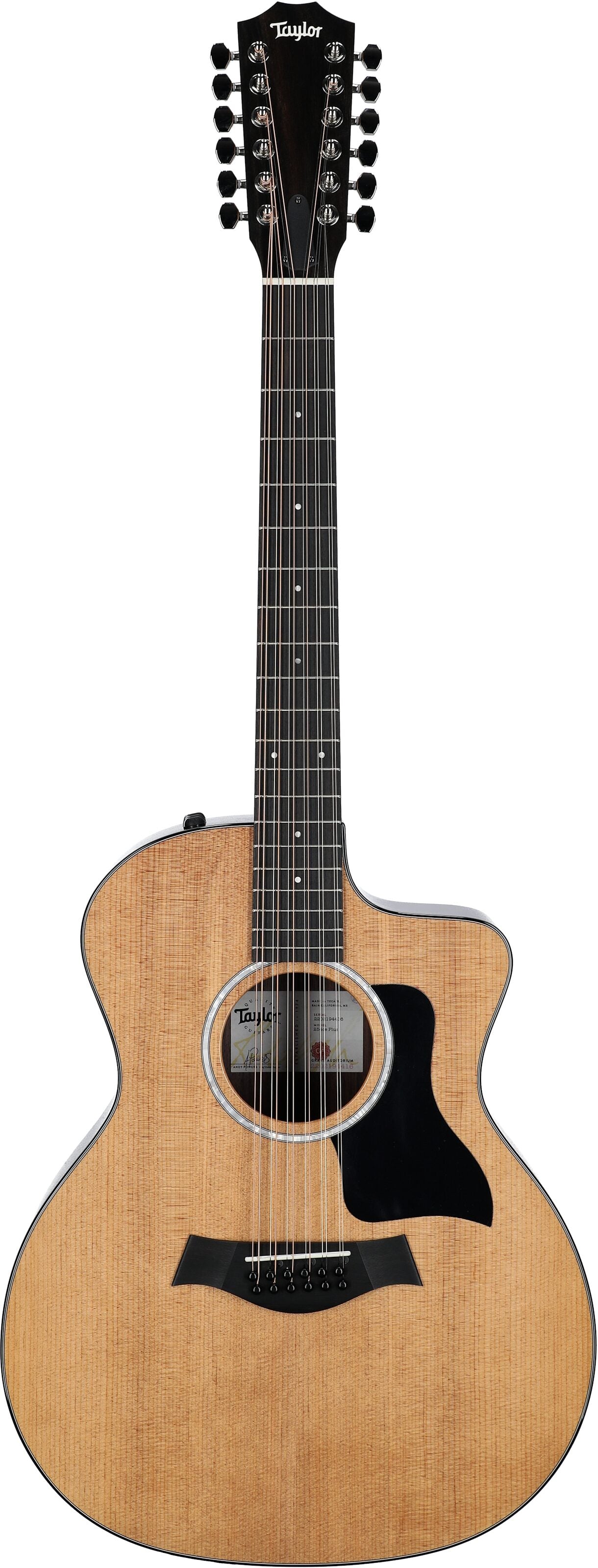 Đàn Guitar Acoustic Taylor 254CE Plus - 12 String - Việt Music