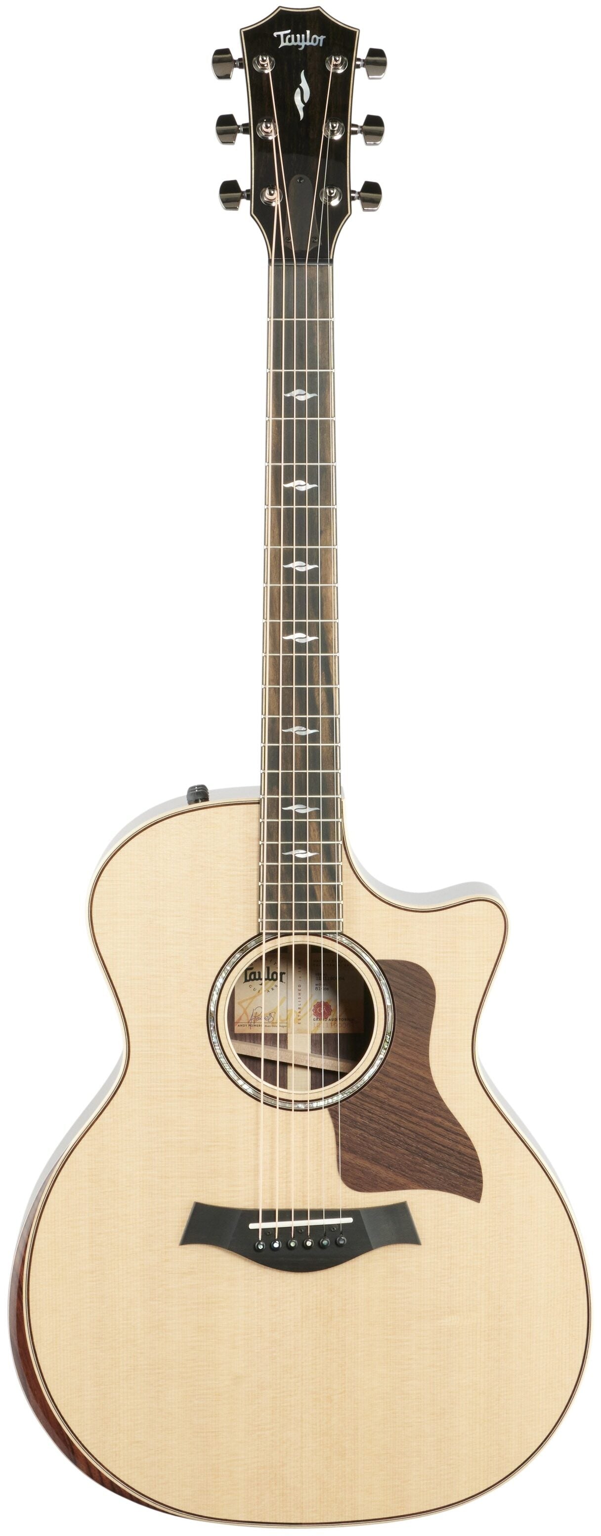 Đàn Guitar Acoustic Taylor 814CE - Việt Music