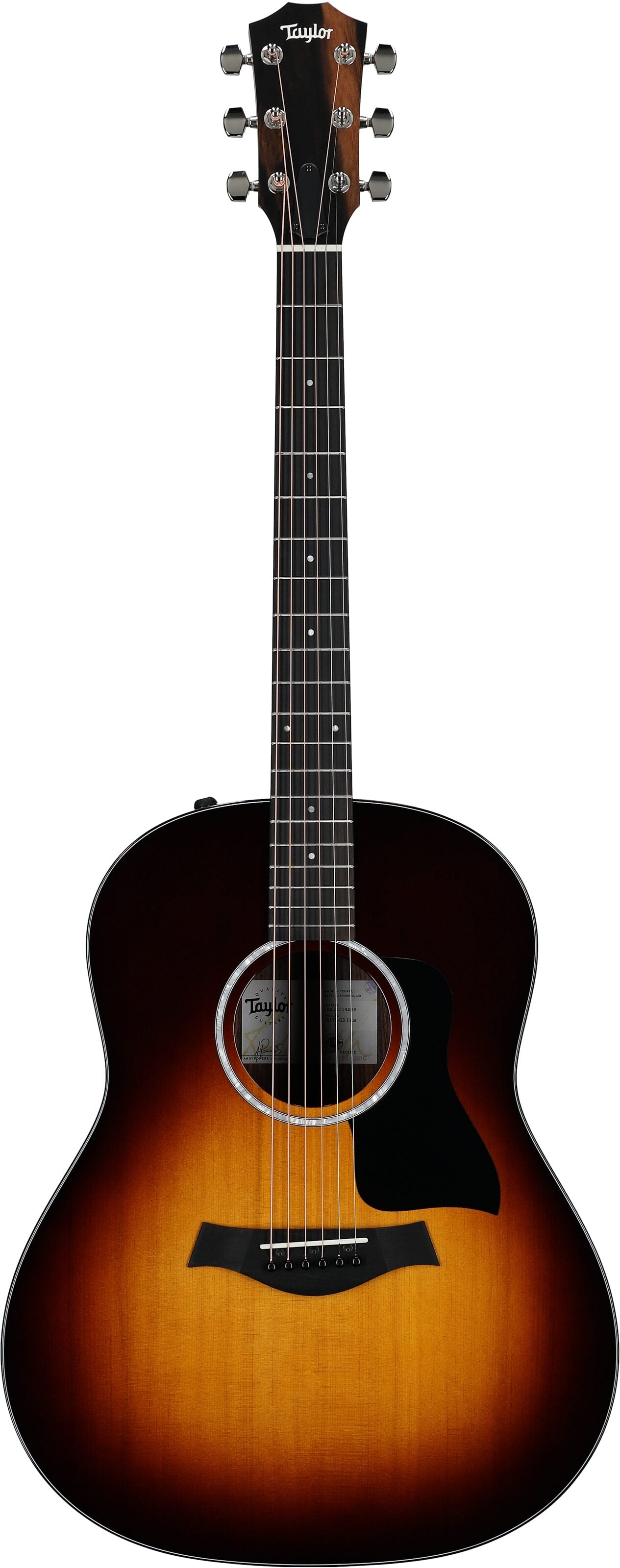 Đàn Guitar Acoustic Taylor 217E Plus - Việt Music