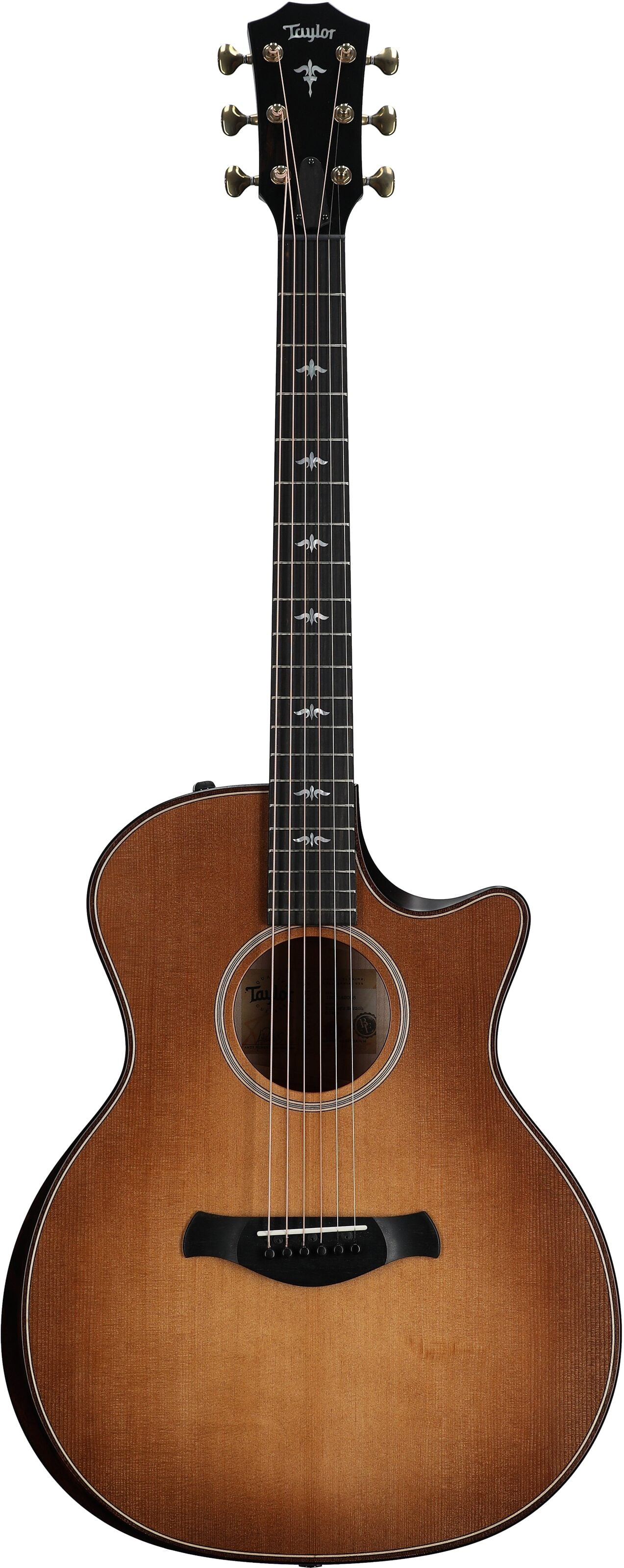 Đàn Guitar Acoustic Taylor Builder's Edition 614CE - Việt Music