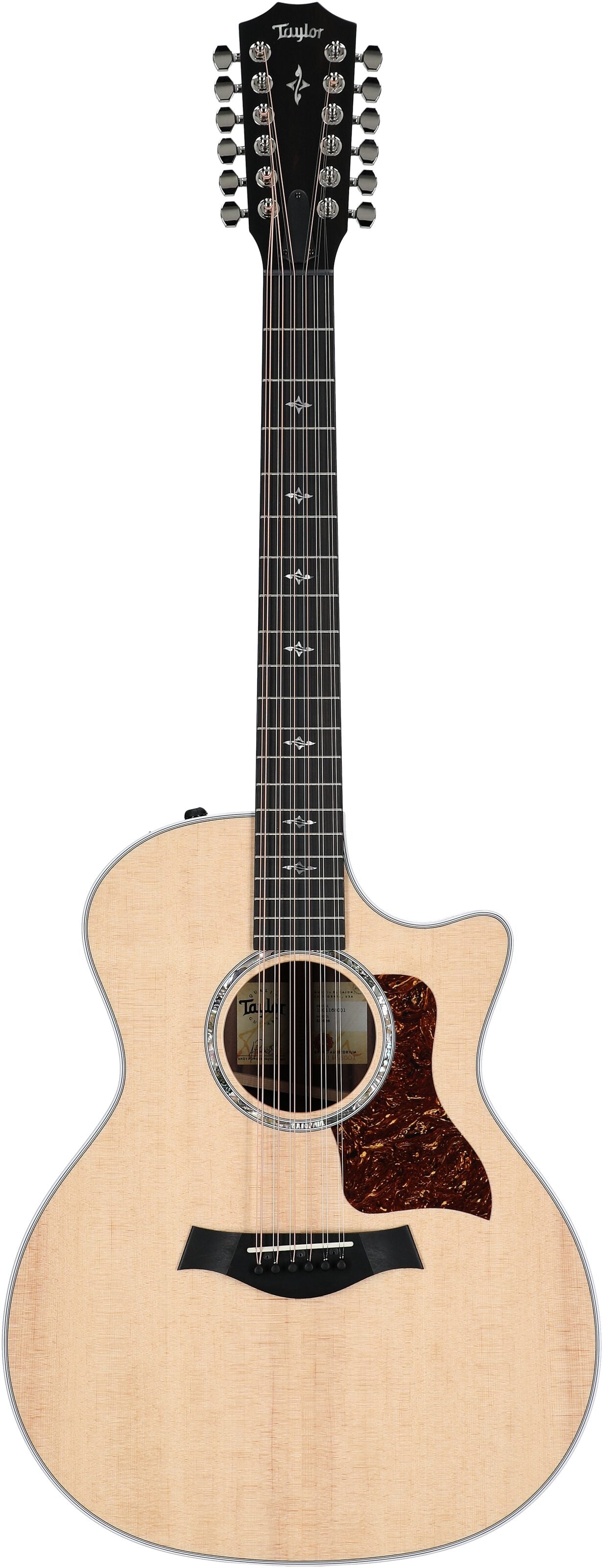 Đàn Guitar Acoustic Taylor 454CE - 12 Strings - Việt Music