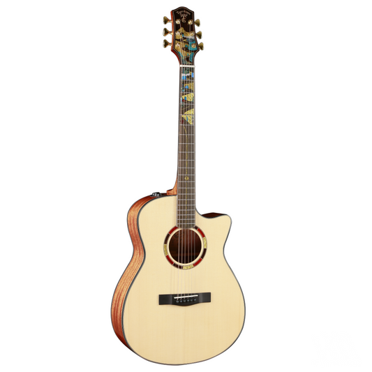 Đàn Guitar Acoustic Tiger Rogen Mountain Road-OMC - Việt Music