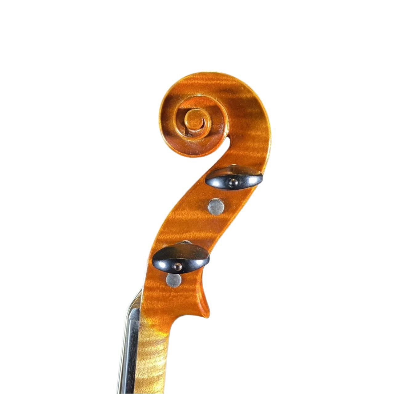 Đàn Violin Mario Gadda Mantua 1979 Size 4/4 - Việt Music