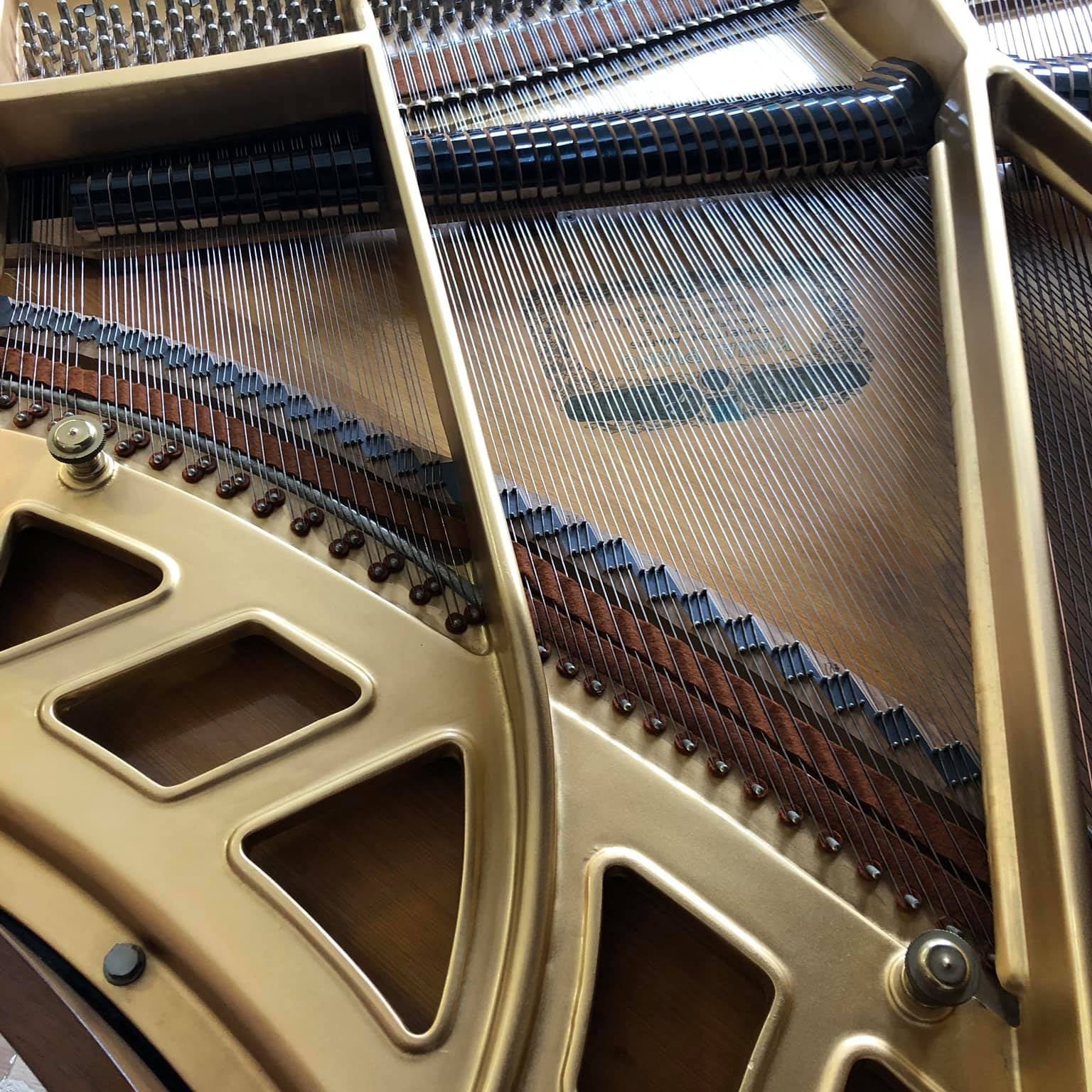 Grand Piano Kawai KG2 - Qua Sử Dụng - Việt Music
