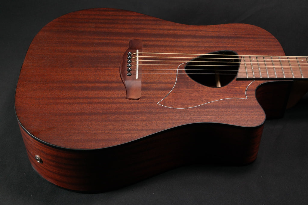 Hình ảnh đàn Ibanez ALT20.