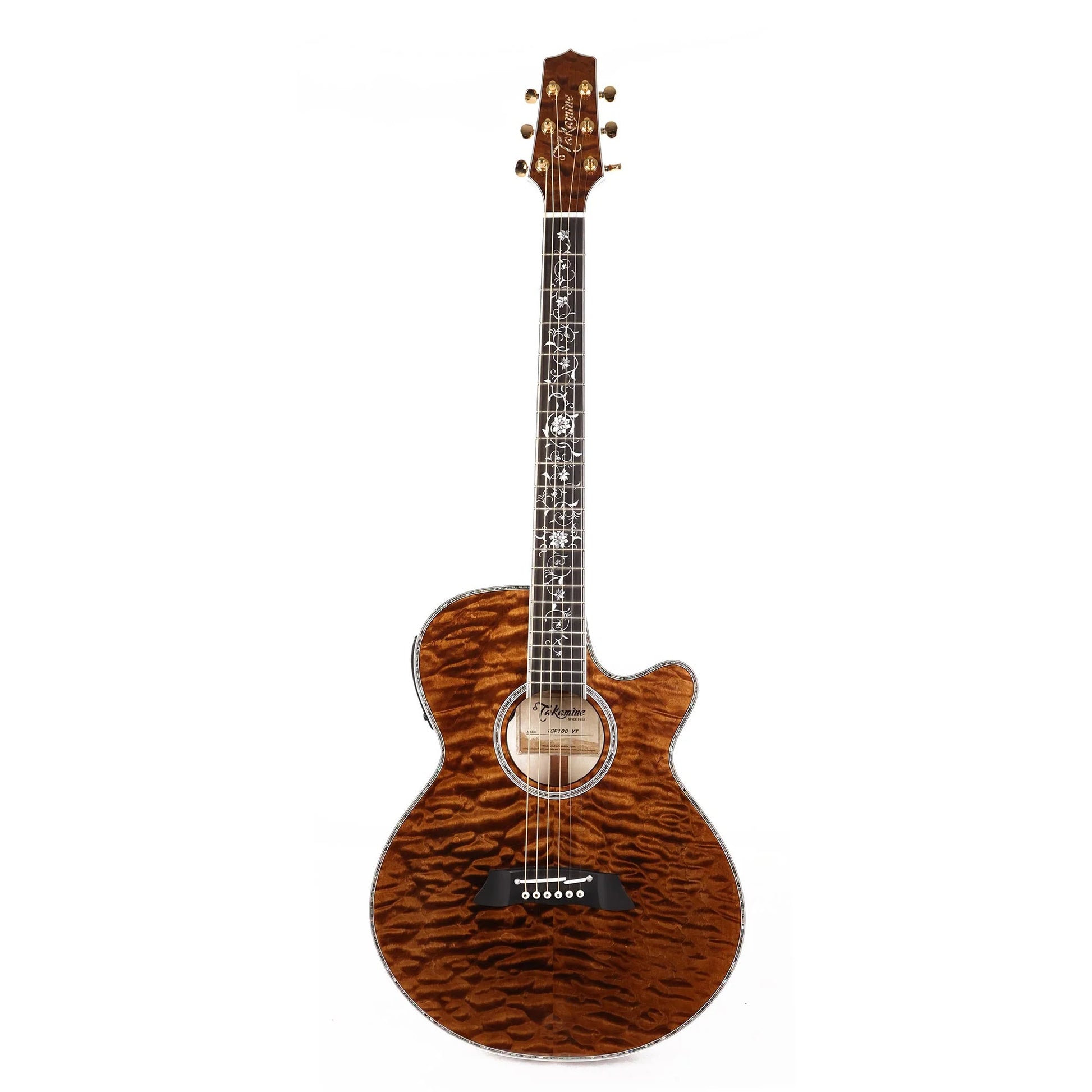 Đàn Guitar Acoustic Takamine TSP100 - Việt Music