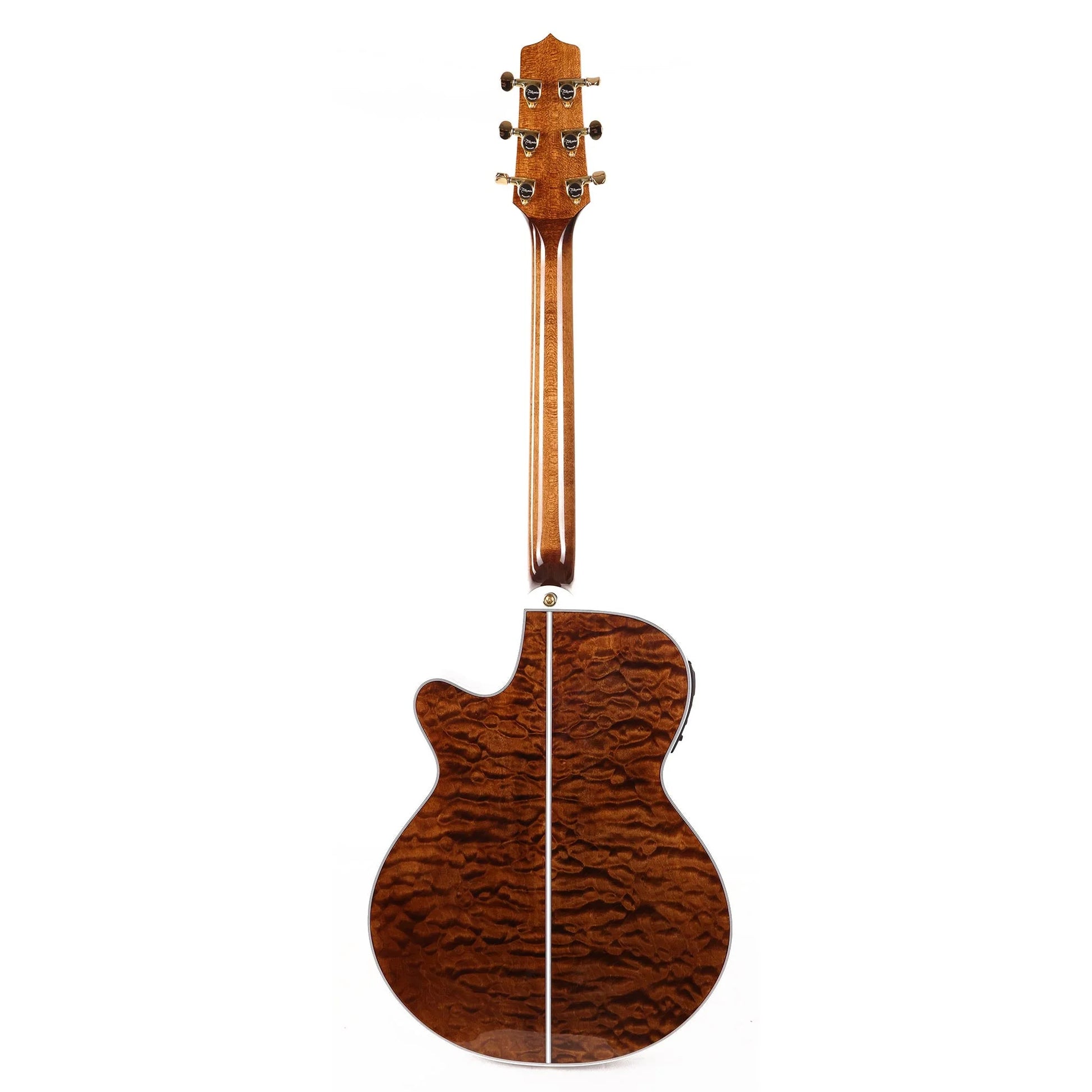 Đàn Guitar Acoustic Takamine TSP100 - Việt Music