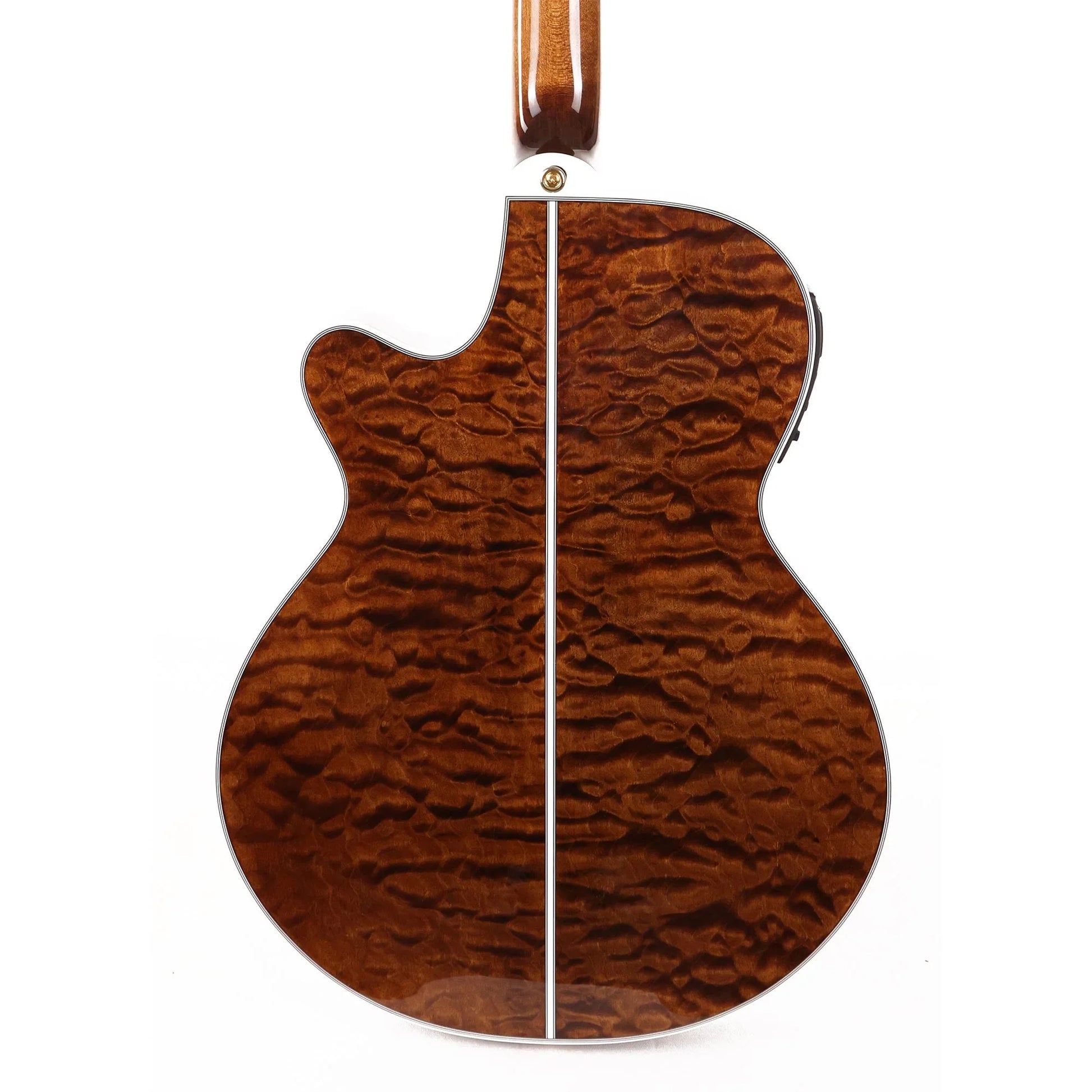 Đàn Guitar Acoustic Takamine TSP100 - Việt Music