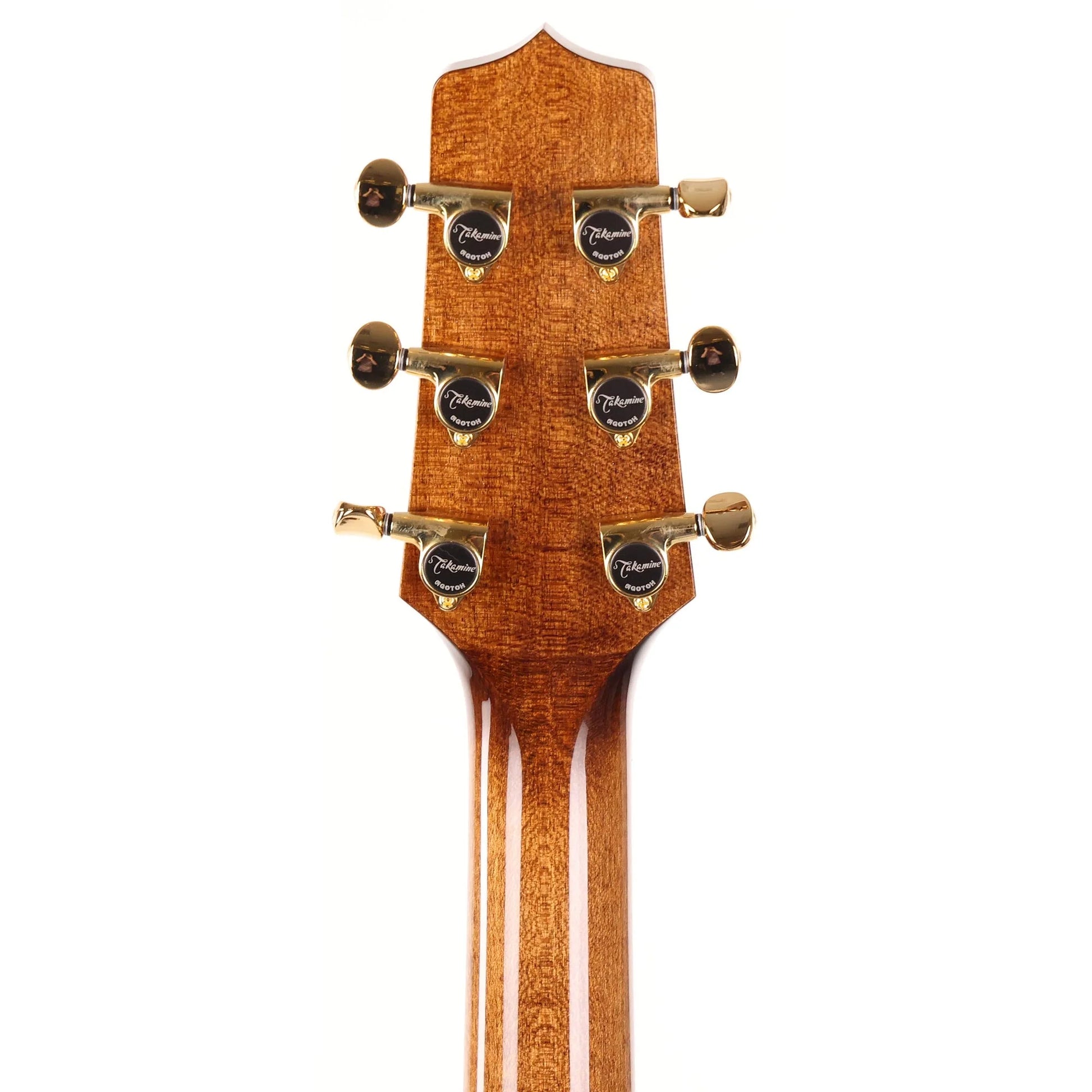 Đàn Guitar Acoustic Takamine TSP100 - Việt Music