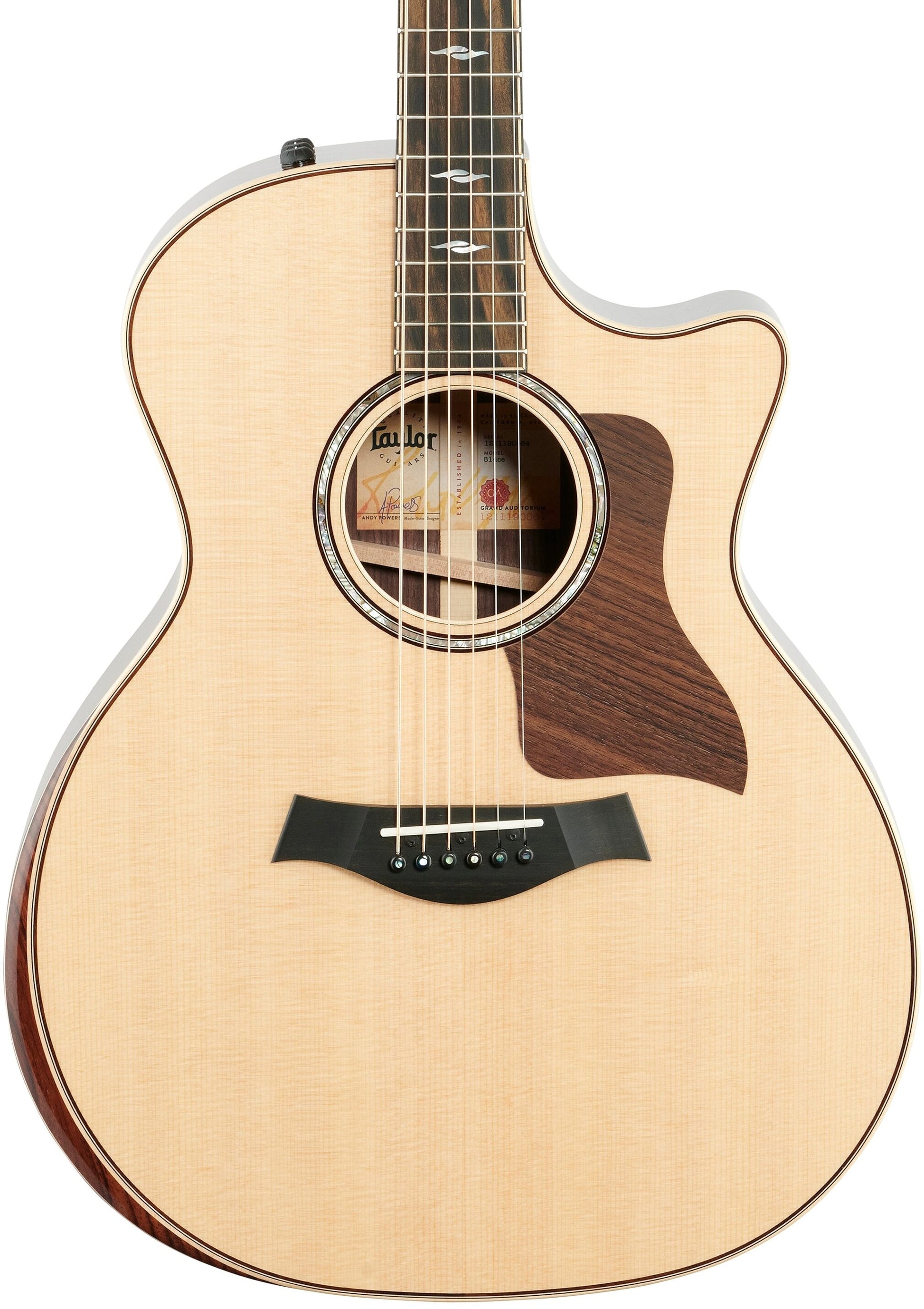Đàn Guitar Acoustic Taylor 814CE - Việt Music
