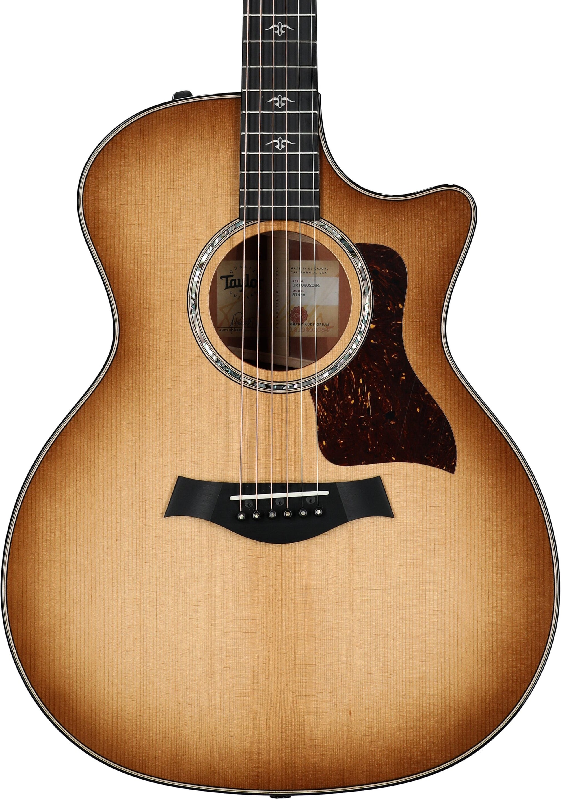 Đàn Guitar Acoustic Taylor 514CE - Việt Music