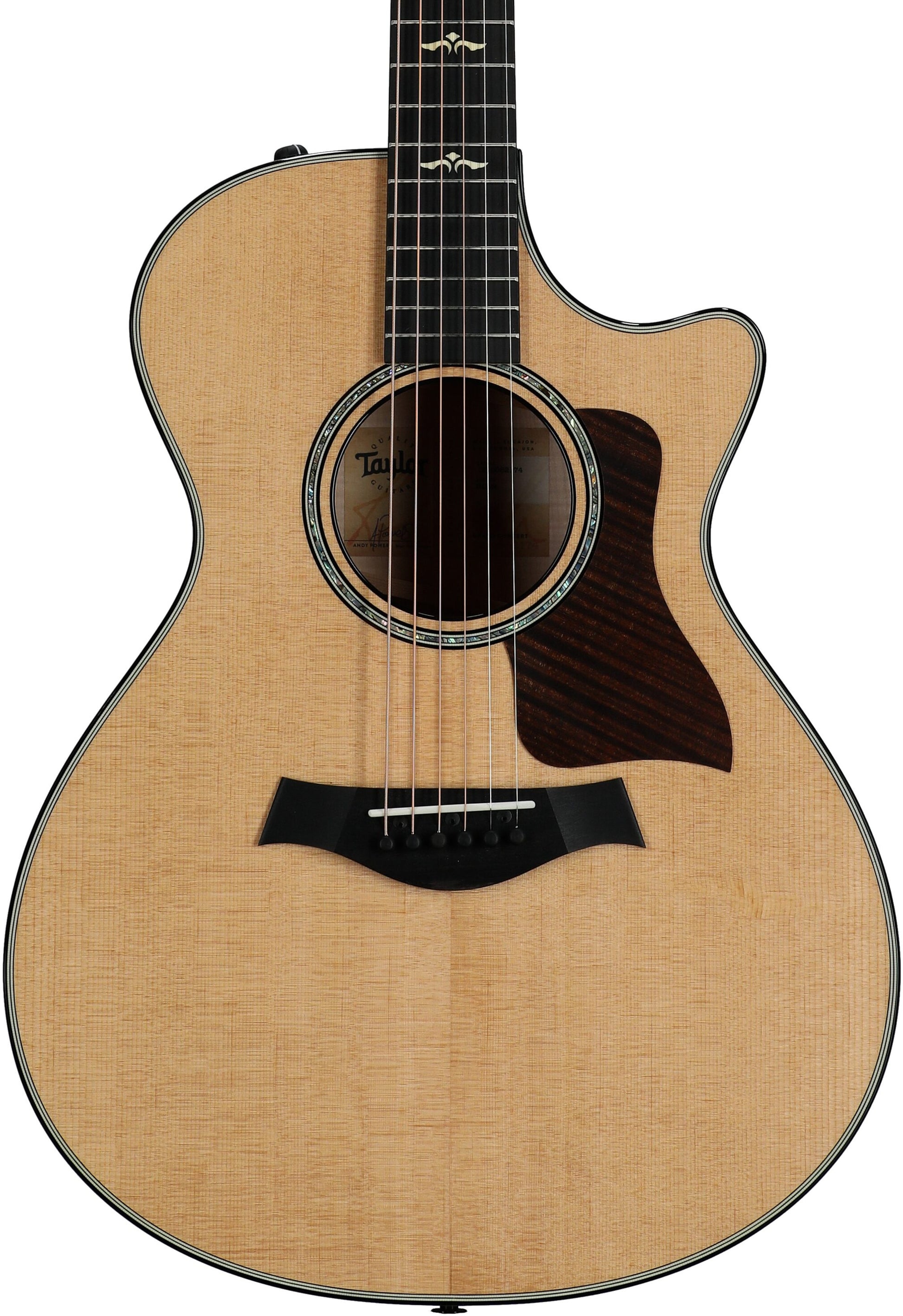 Đàn Guitar Acoustic Taylor 612CE - Việt Music