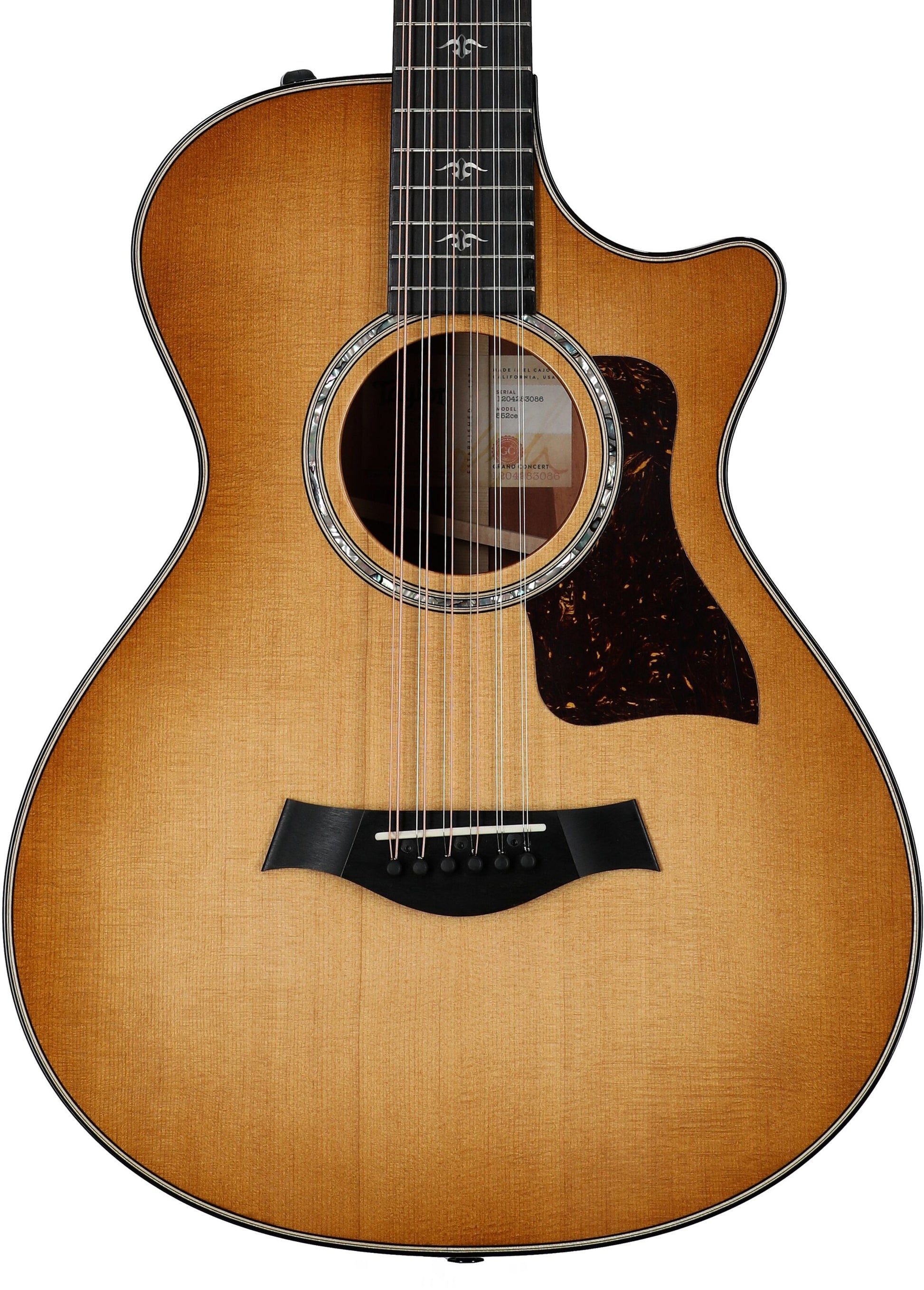 Đàn Guitar Acoustic Taylor 552CE - 12 Strings - Việt Music