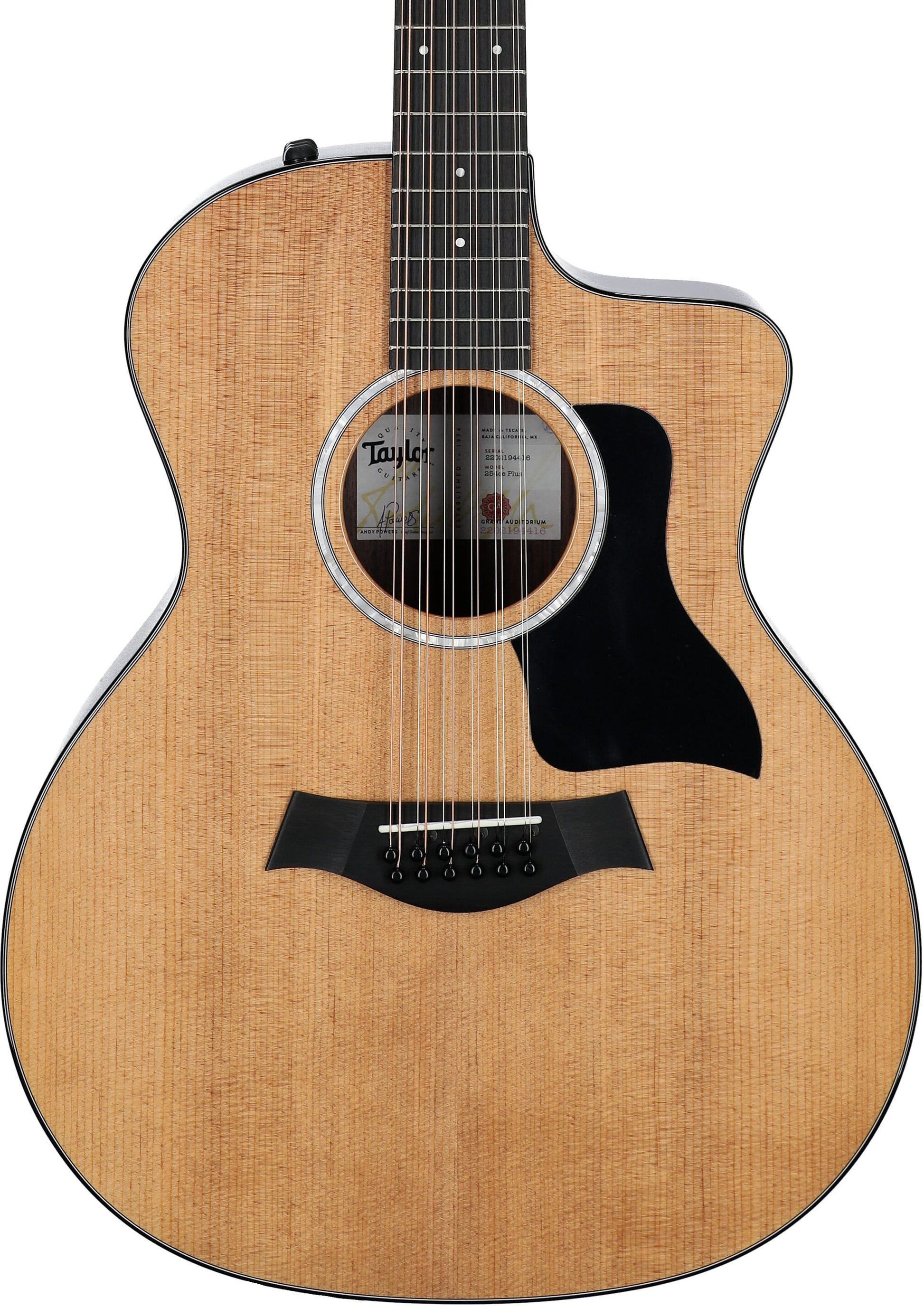 Đàn Guitar Acoustic Taylor 254CE Plus - 12 String - Việt Music
