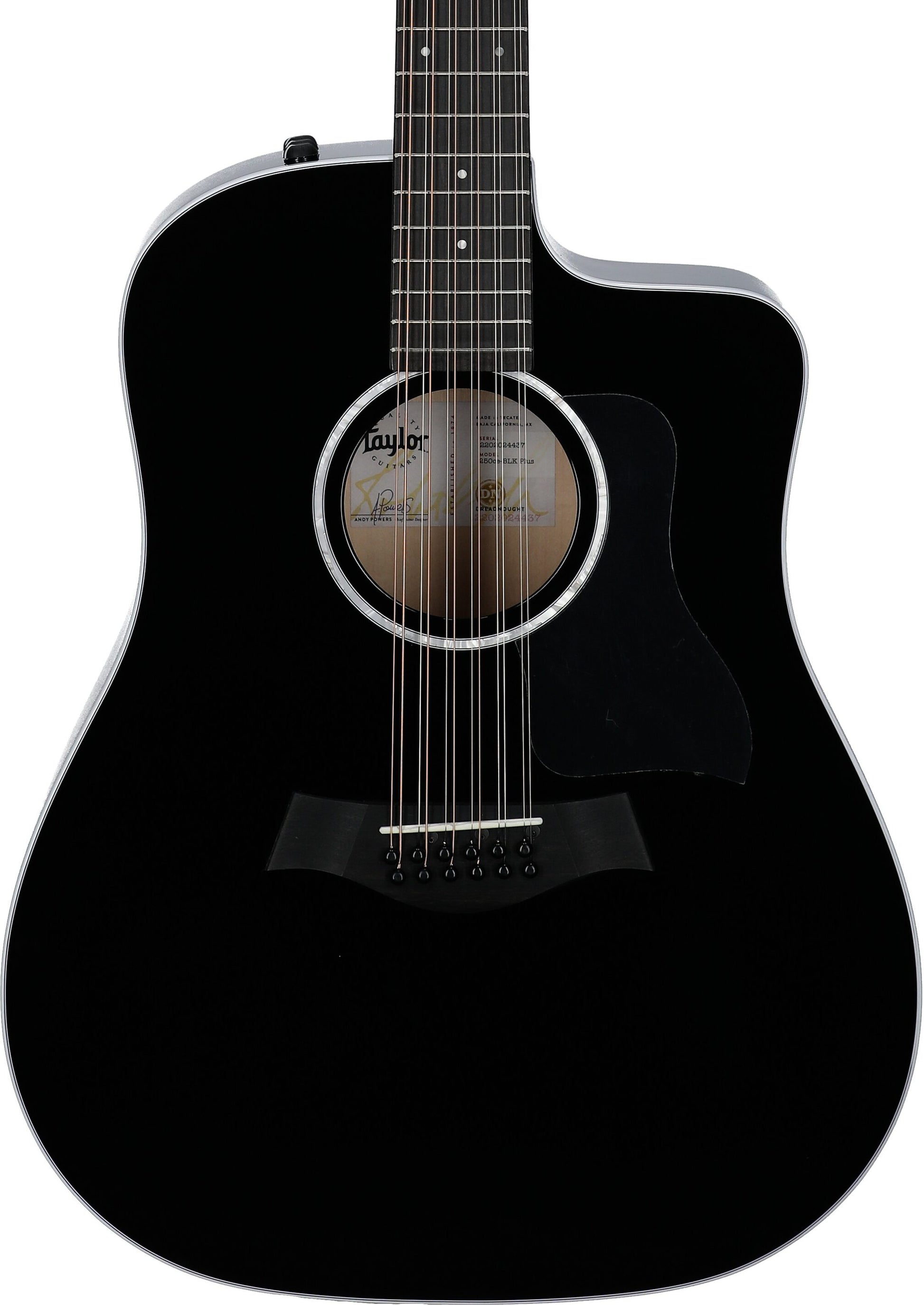 Đàn Guitar Acoustic Taylor 250CE Plus - 12 Strings - Việt Music