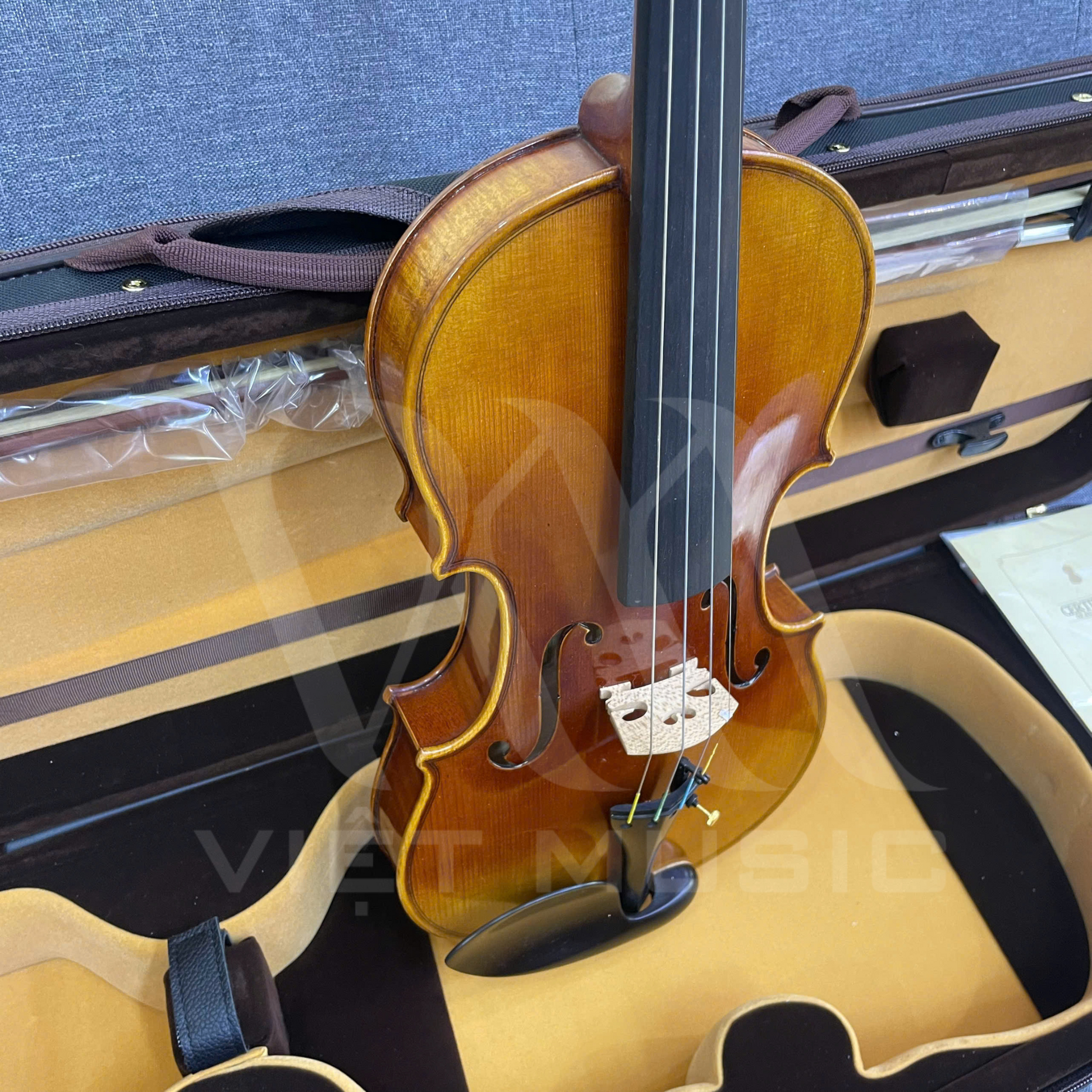 Đàn Violin Scott Cao STV750E Size 4/4 - Việt Music