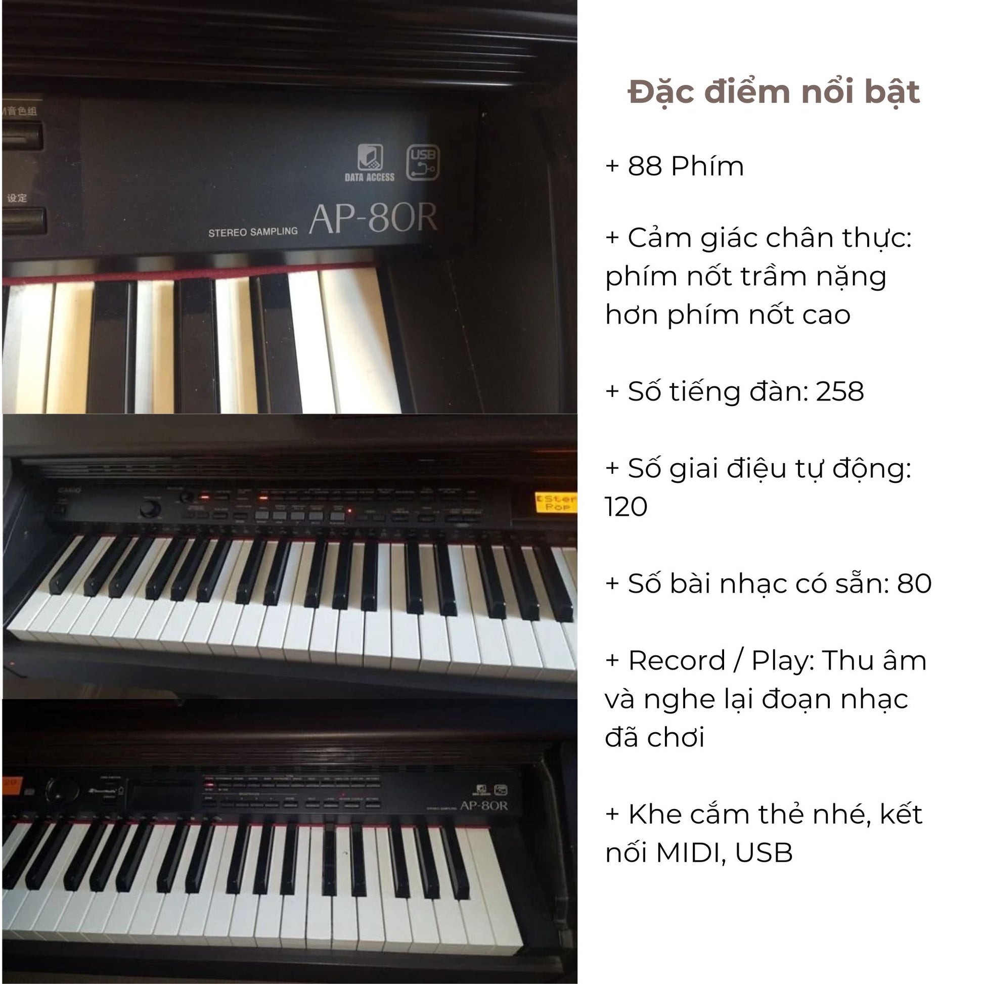 Đàn Piano Điện Caiso AP-80 - Qua Sử Dụng - Việt Music