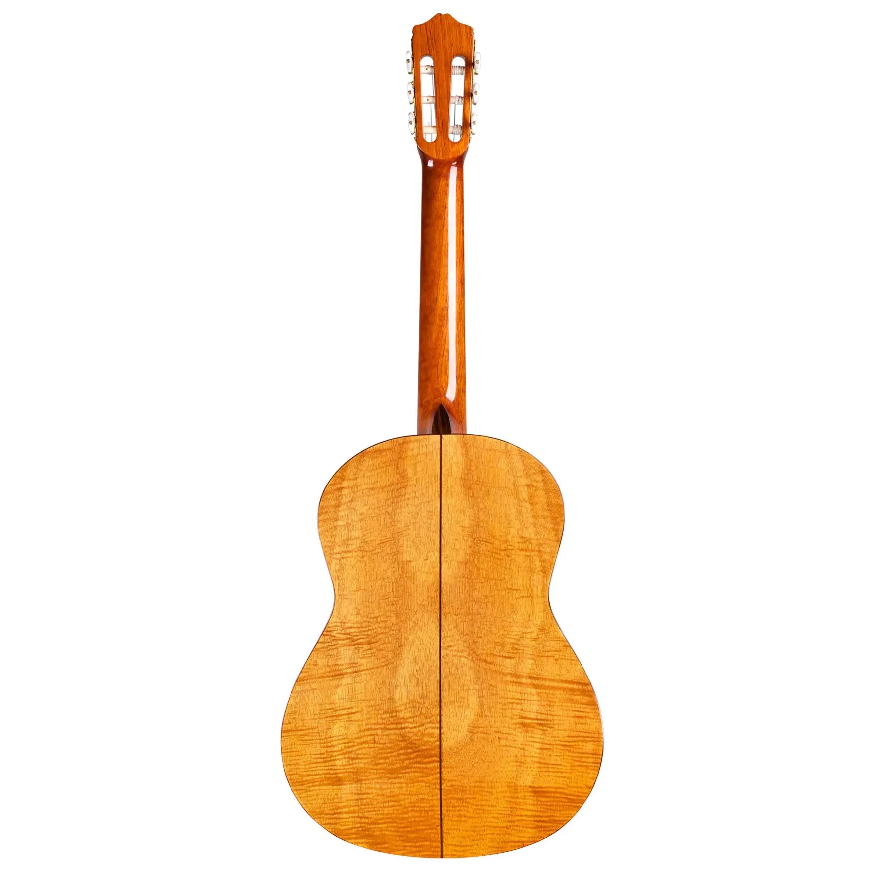 Đàn Guitar Classic Cordoba C5 Limited w/Deluxe Gig Bag - Việt Music