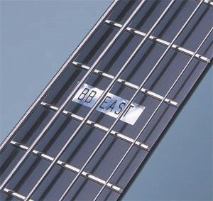 Bass Guitar Fingerboard