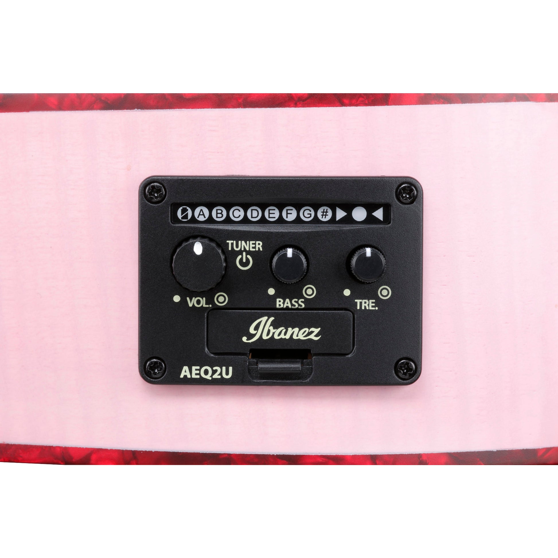 Đàn Guitar Acoustic Ibanez EWP17M2E - Việt Music