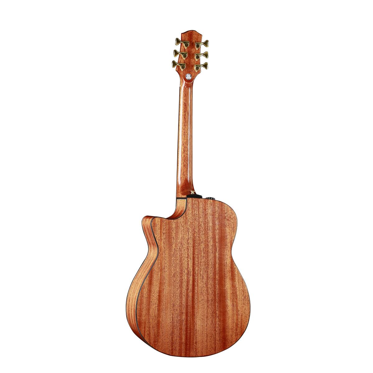 Đàn Guitar Acoustic Tiger Rogen Mountain Road-OMC - Việt Music