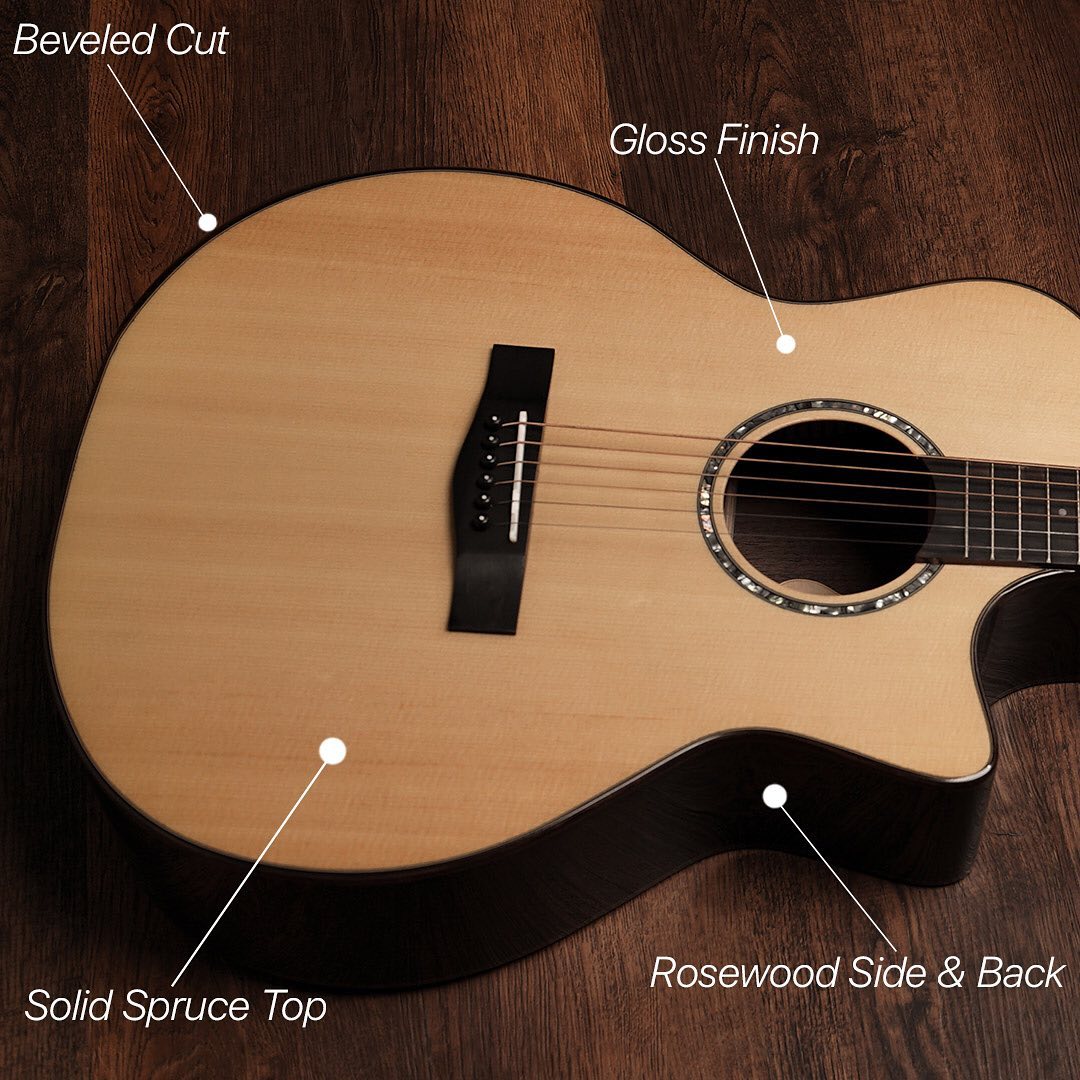 Đàn Guitar Acoustic Sqoe S-460T - Việt Music