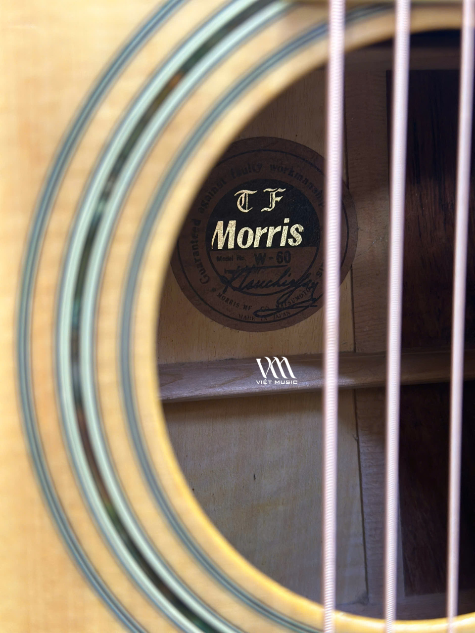 Đàn Guitar Acoustic Morris W60 - Qua Sử Dụng - Việt Music
