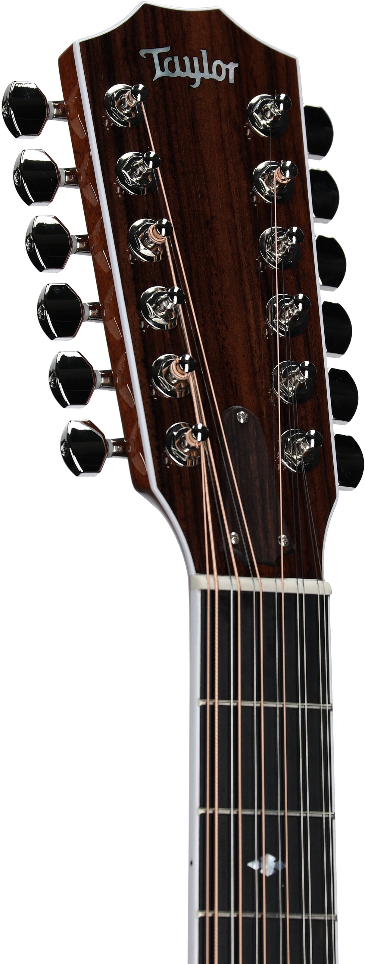Đàn Guitar Acoustic Taylor Legacy 855E - 12 Strings - Việt Music