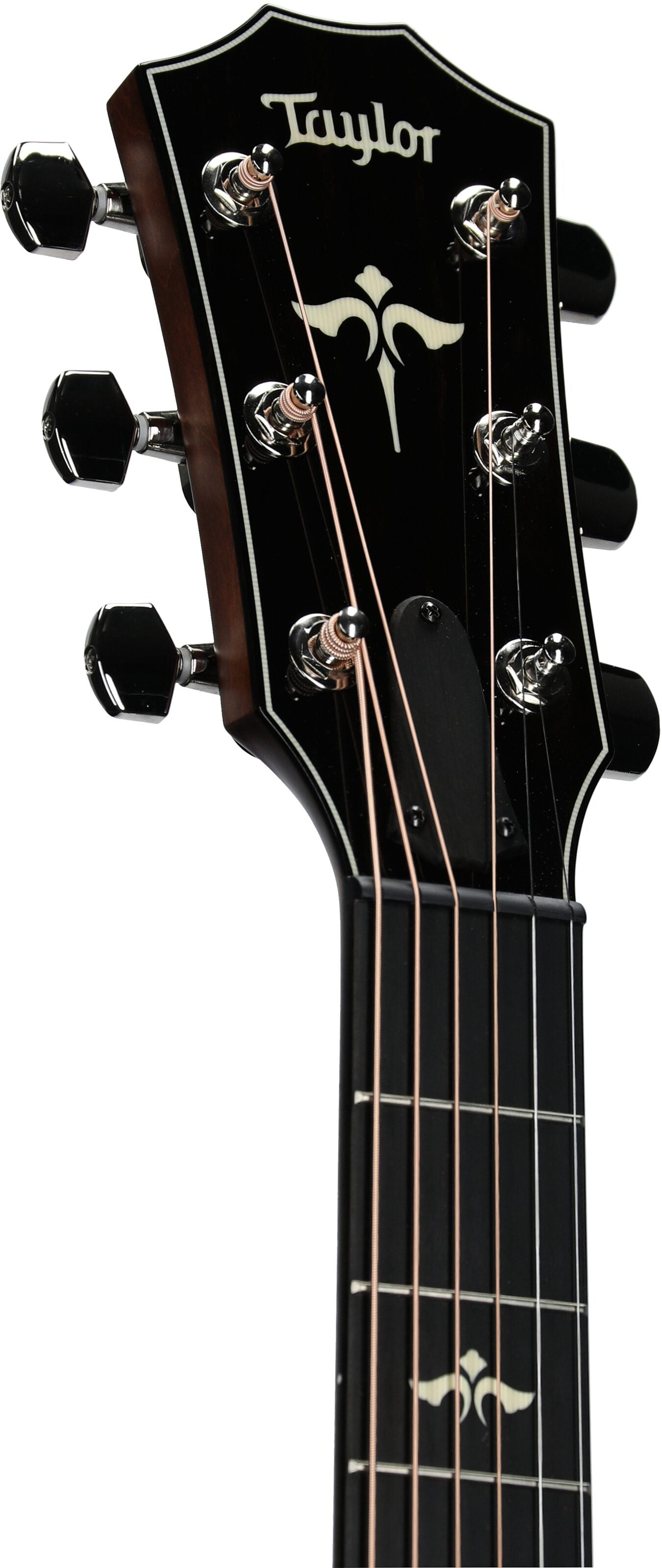 Đàn Guitar Acoustic Taylor 612CE - Việt Music