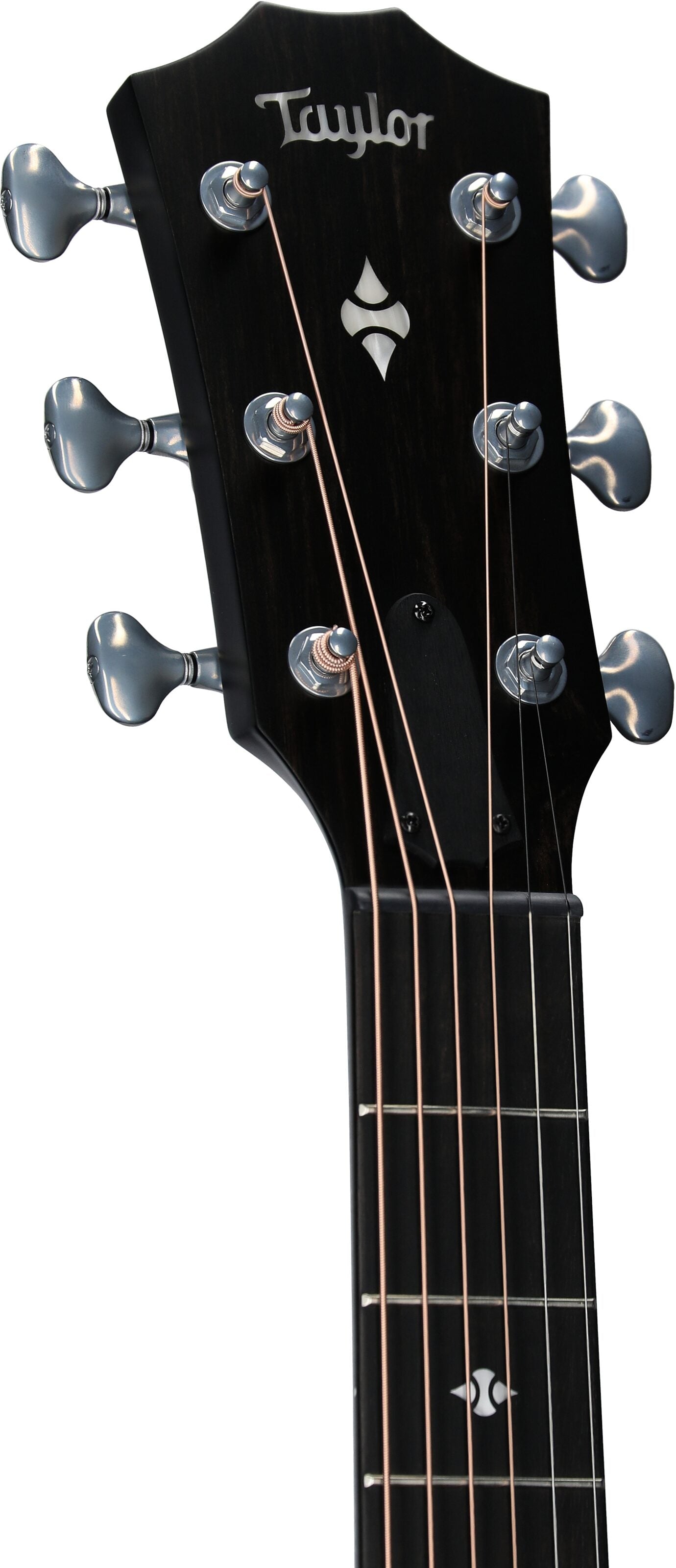Đàn Guitar Acoustic Taylor Builder's Edition 514CE - Việt Music