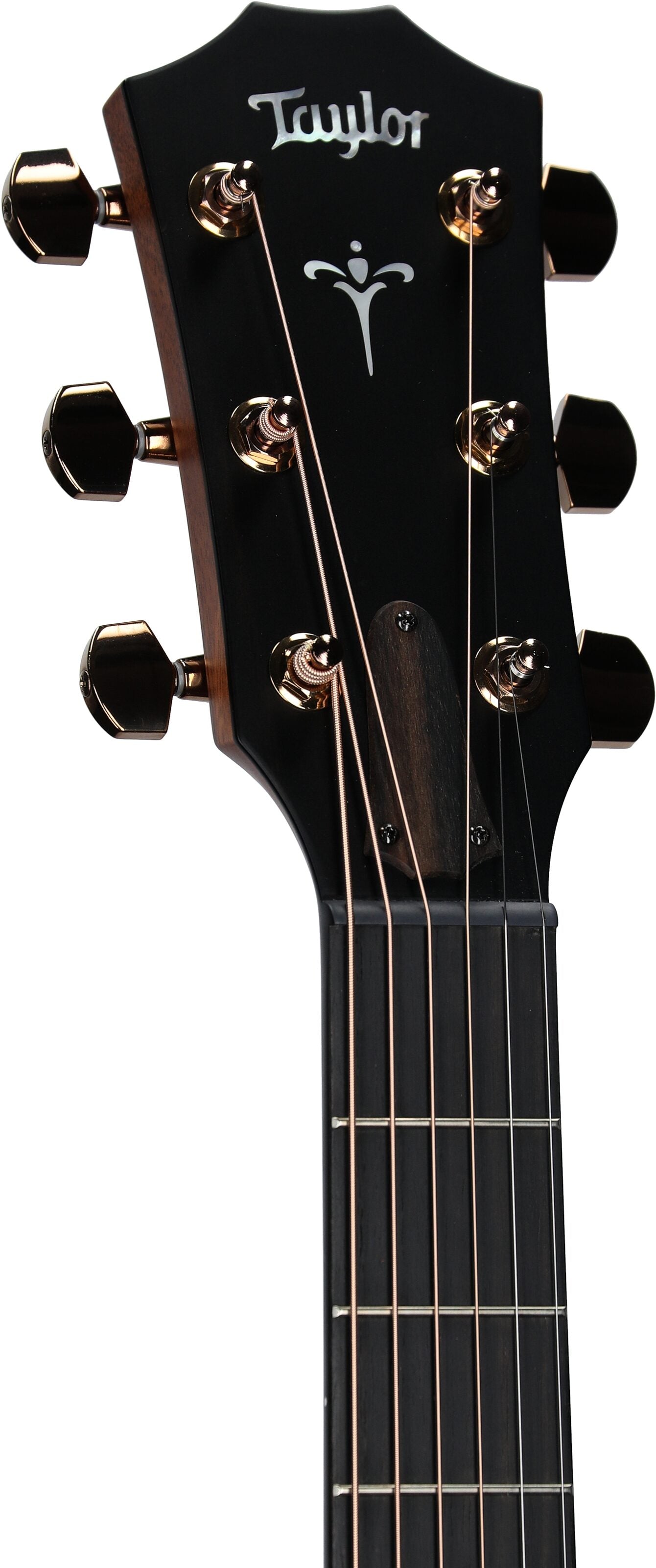 Đàn Guitar Acoustic Taylor 724CE - Việt Music