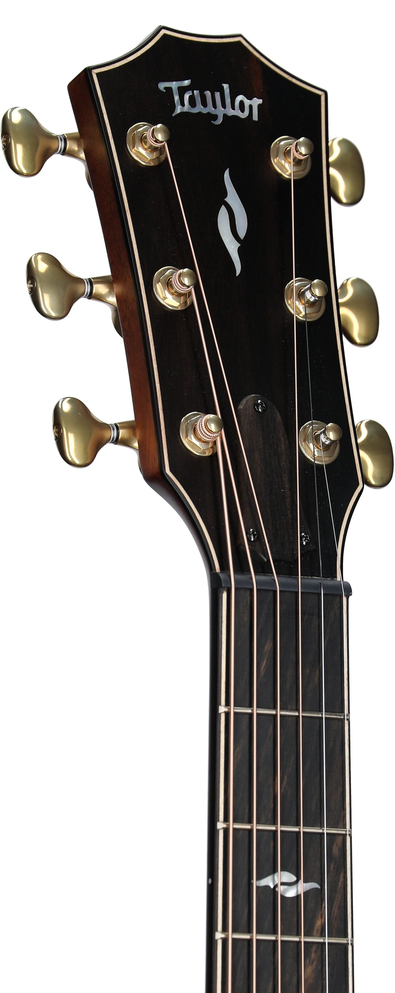 Đàn Guitar Acoustic Taylor 814CE - Việt Music